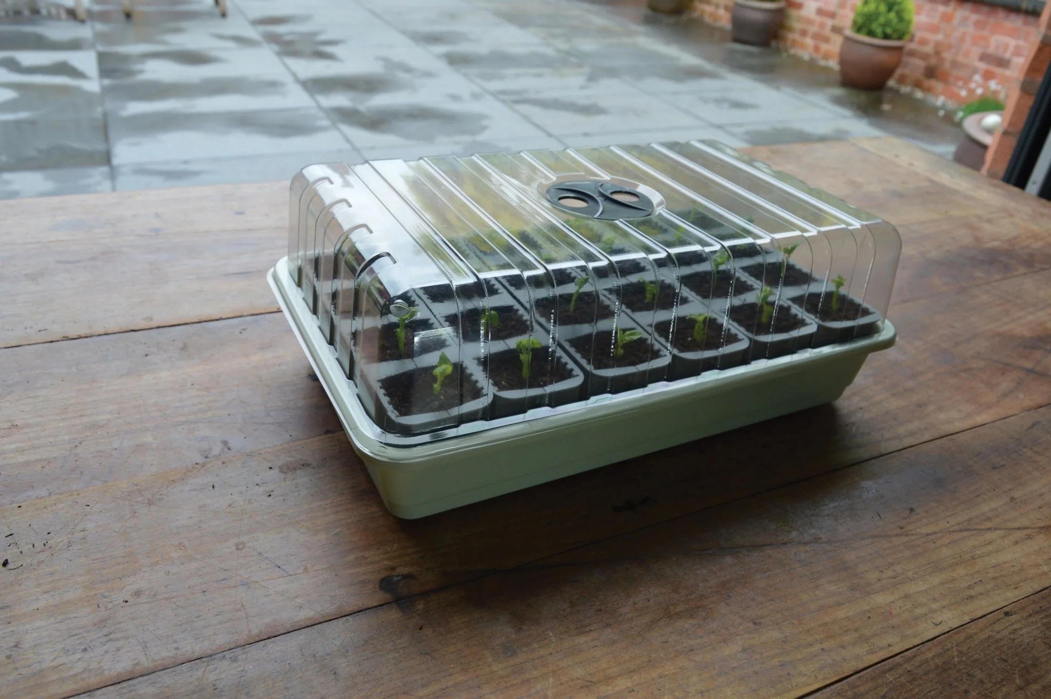 24 Cell Self Watering Fast Root Seed Success Kit Propagator