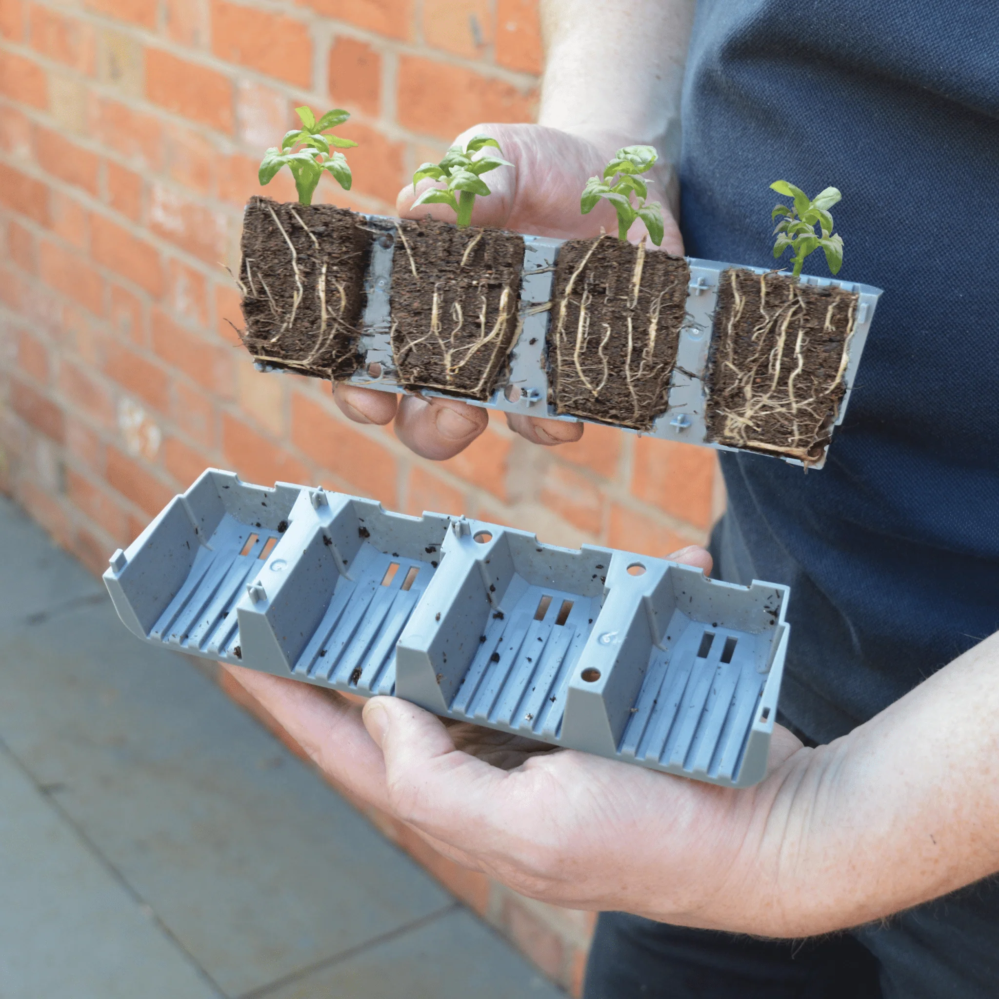 24 Cell Self Watering Fast Root Seed Success Kit Propagator - Image 5