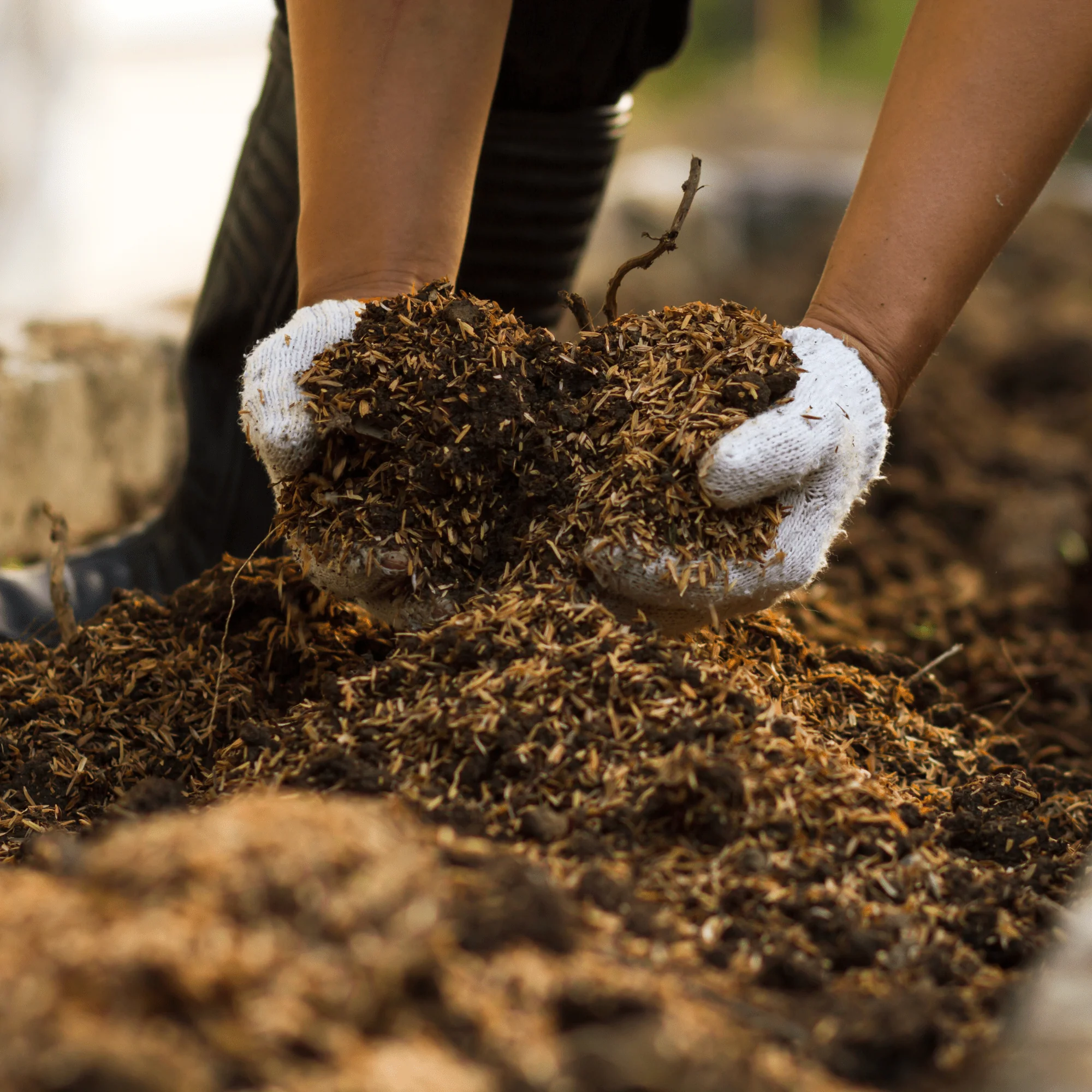 AutumnMix Compost Garden Mulch - Image 2