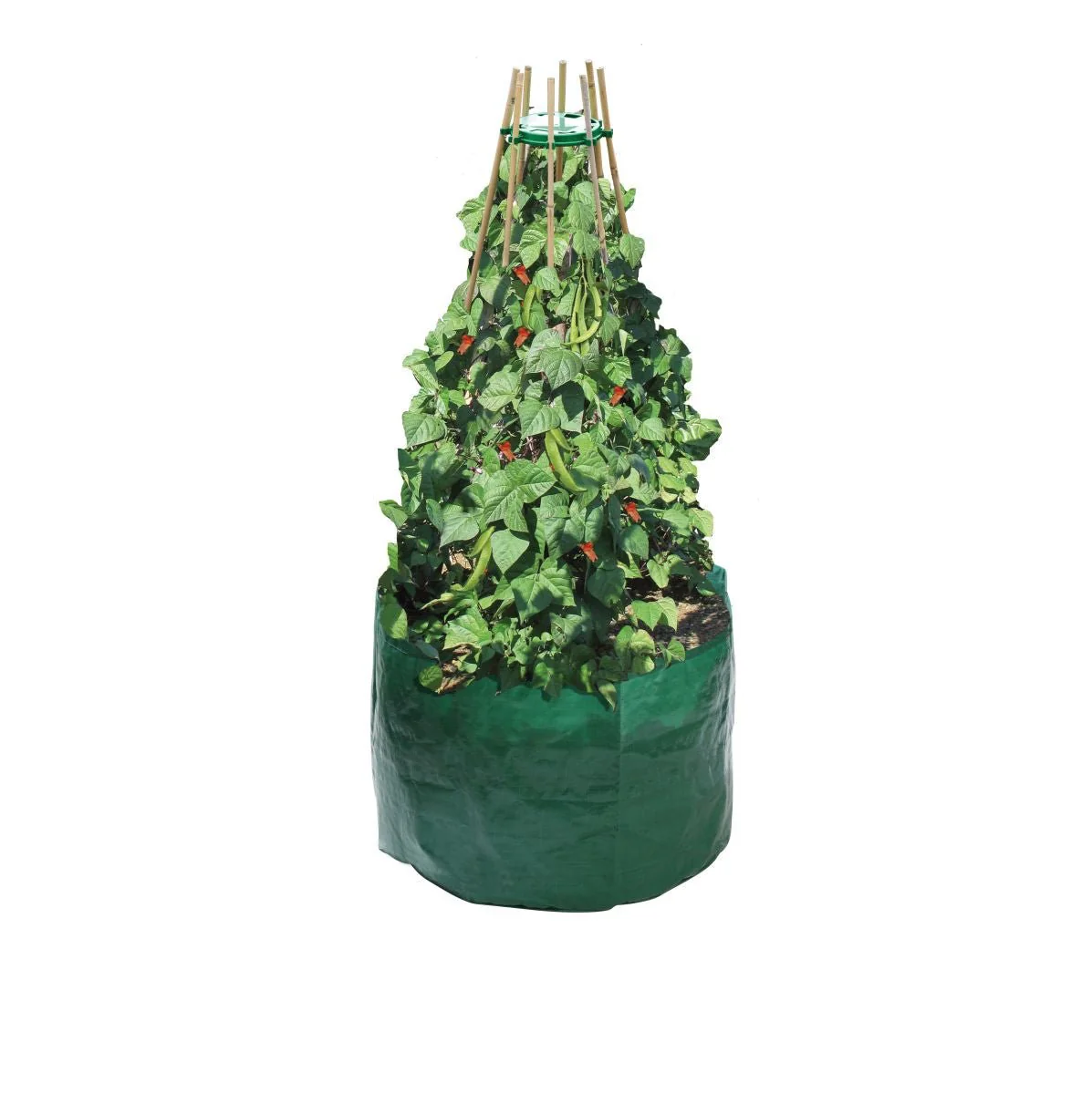 Bean and Pea Grow Bag with Free Support Ring, Climbing Crop Grow Bag, Jute or Plastic, 61cm Diameter