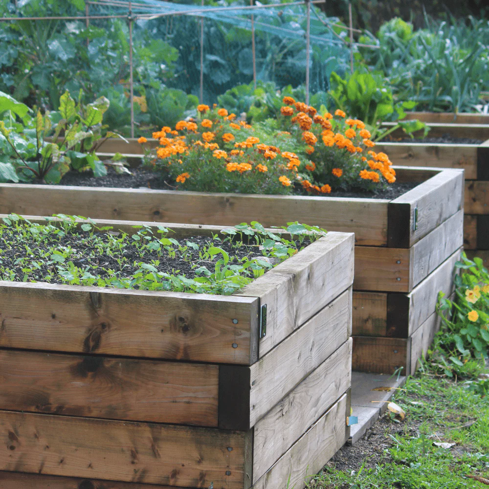 BedGrow® Raised Bed Welsh Topsoil Mix - Image 3