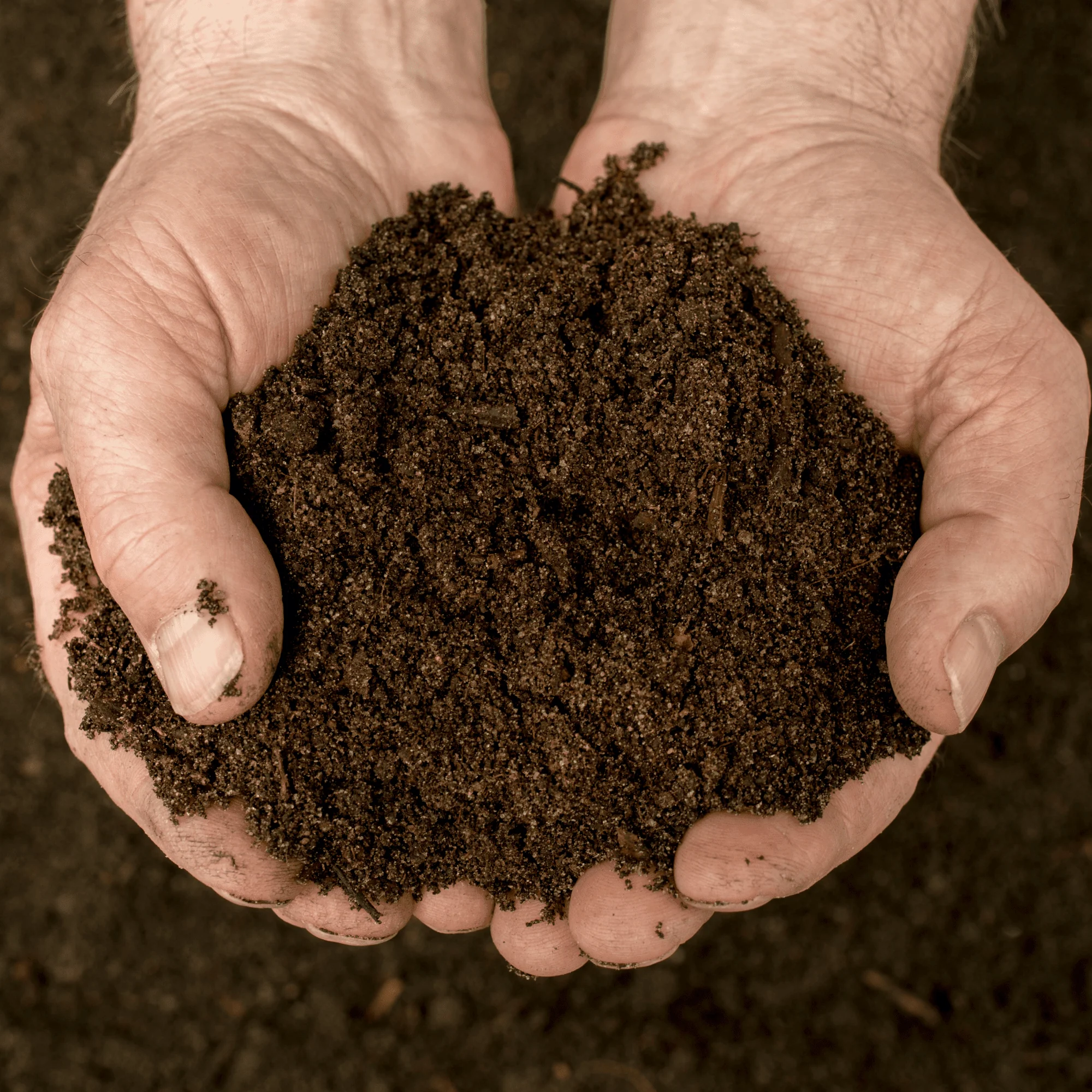 Bordermix® Welsh Topsoil for plants and flowers - Image 8