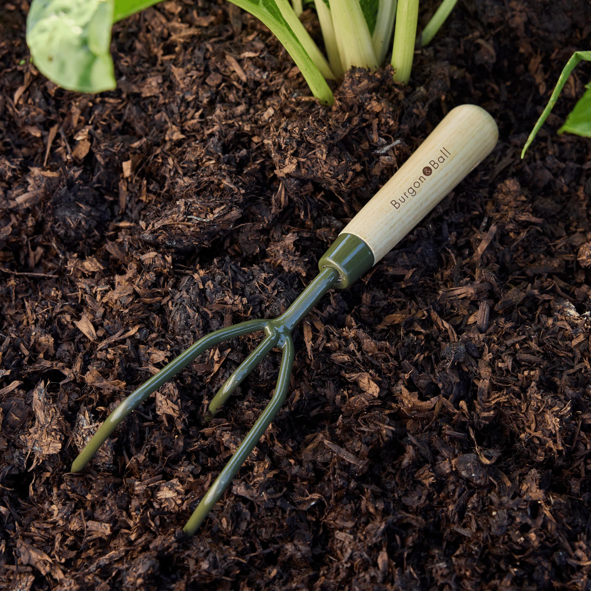 Burgon and Ball RHS BoronGreen Claw Cultivator - Image 10
