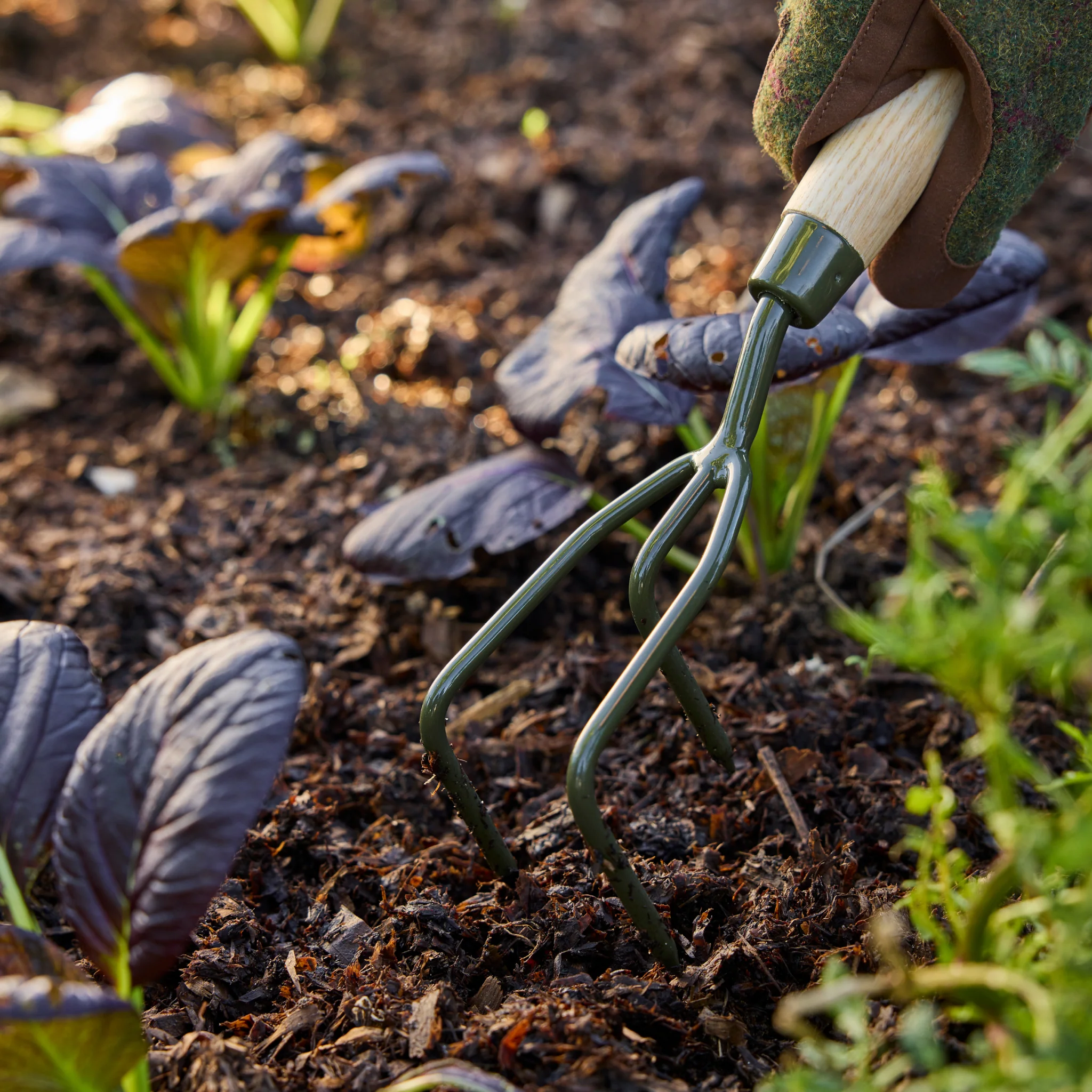 Burgon and Ball RHS BoronGreen Claw Cultivator - Image 11