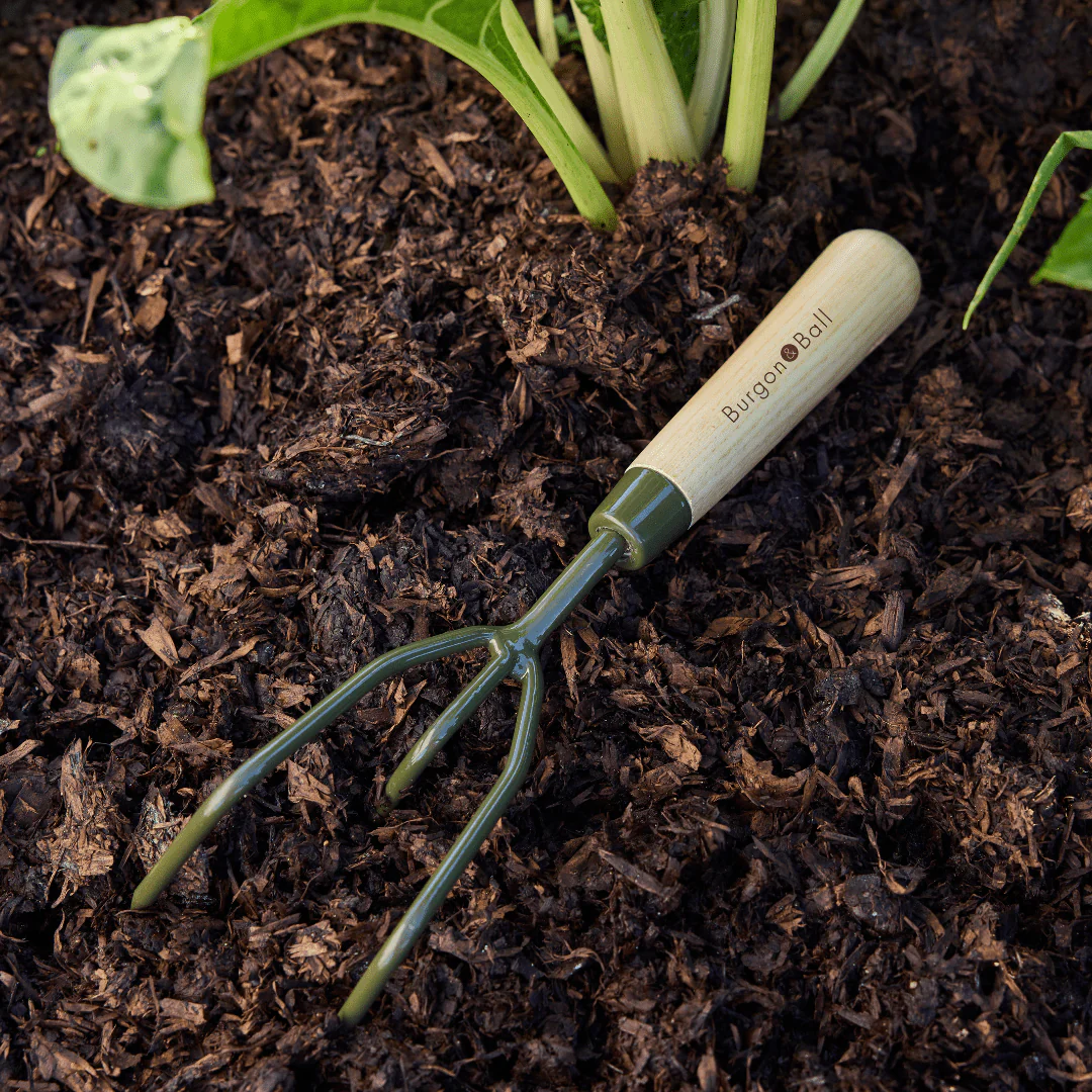 Burgon and Ball RHS BoronGreen Claw Cultivator - Image 12