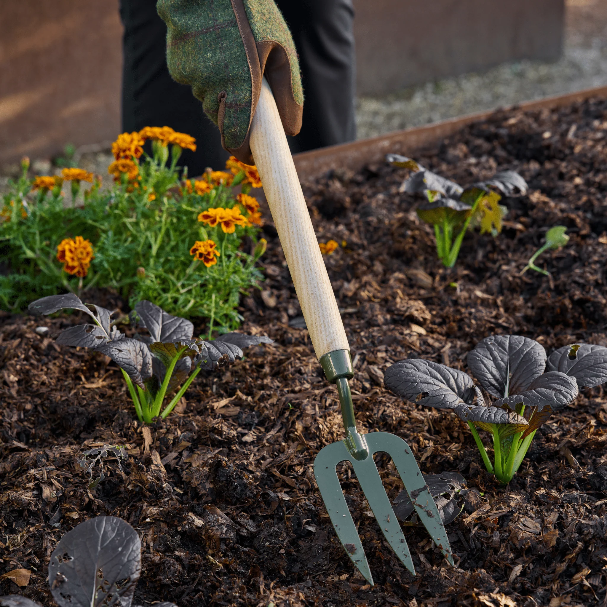 Burgon and Ball RHS BoronGreen Mid Handled Fork - Image 8