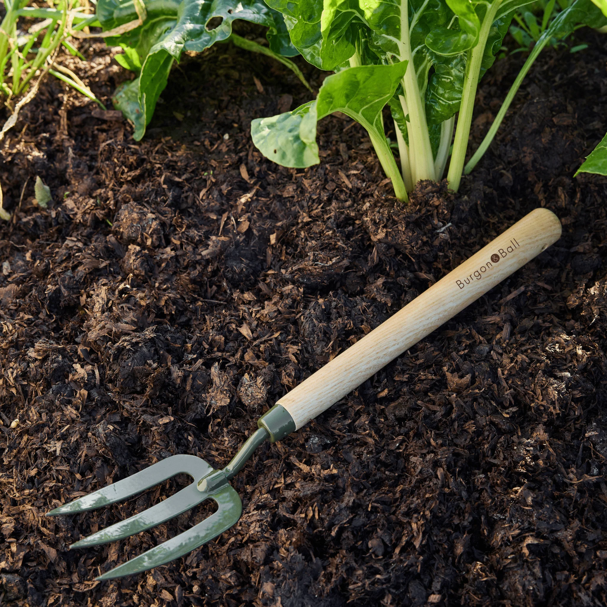 Burgon and Ball RHS BoronGreen Mid Handled Fork - Image 9