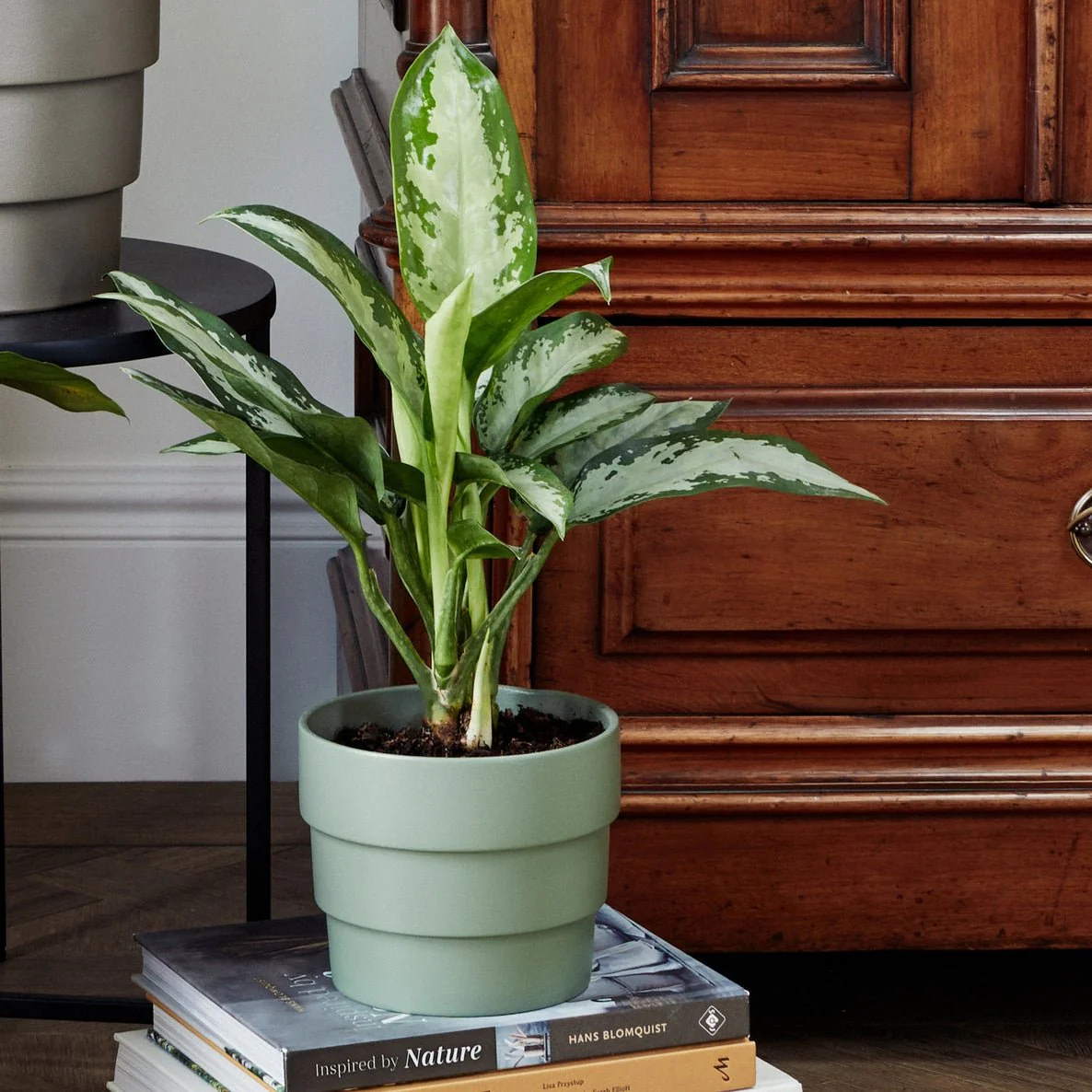 Boston Tiered Planter H18cm D21cm, Ceramic Plant Pot for Indoor and Outdoor Use - Image 6
