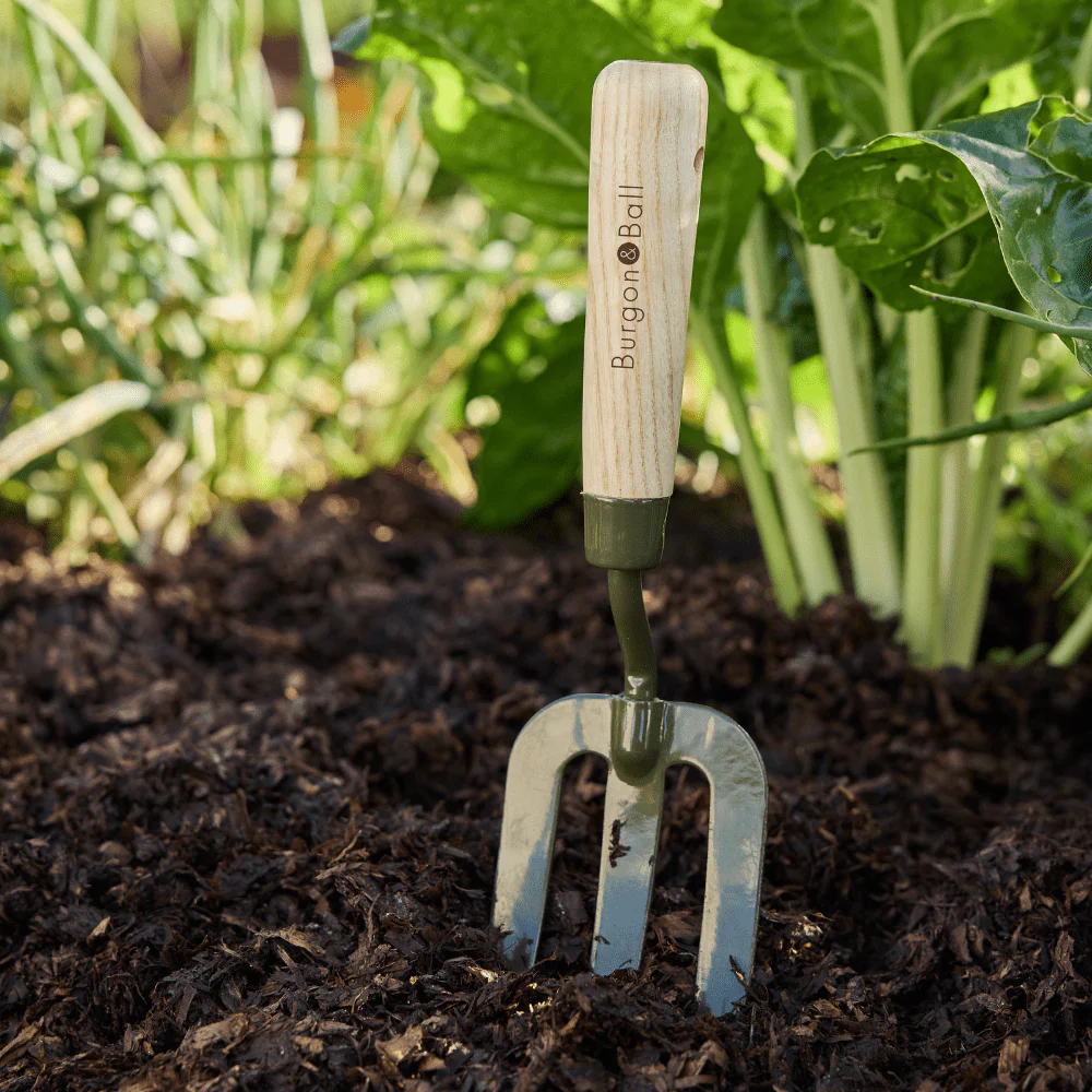 Burgon and Ball RHS BoronGreen Hand Fork - Image 11