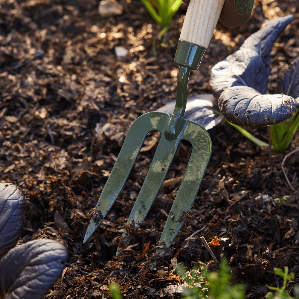 Burgon and Ball RHS BoronGreen Hand Fork - Image 9