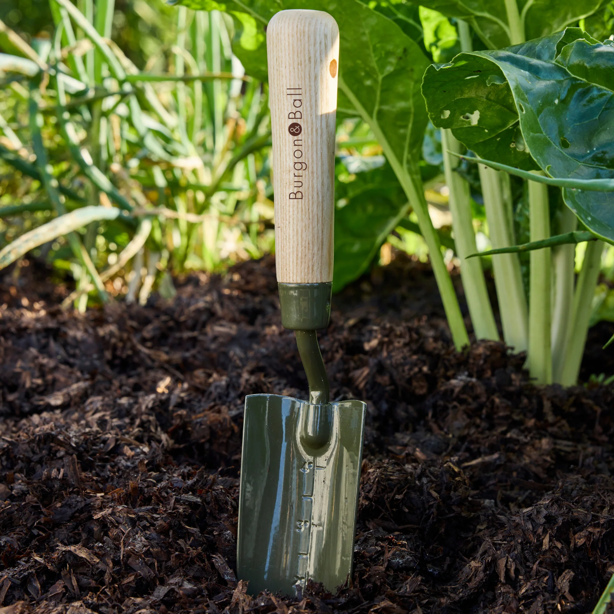 Burgon and Ball RHS BoronGreen Transplanter - Image 7