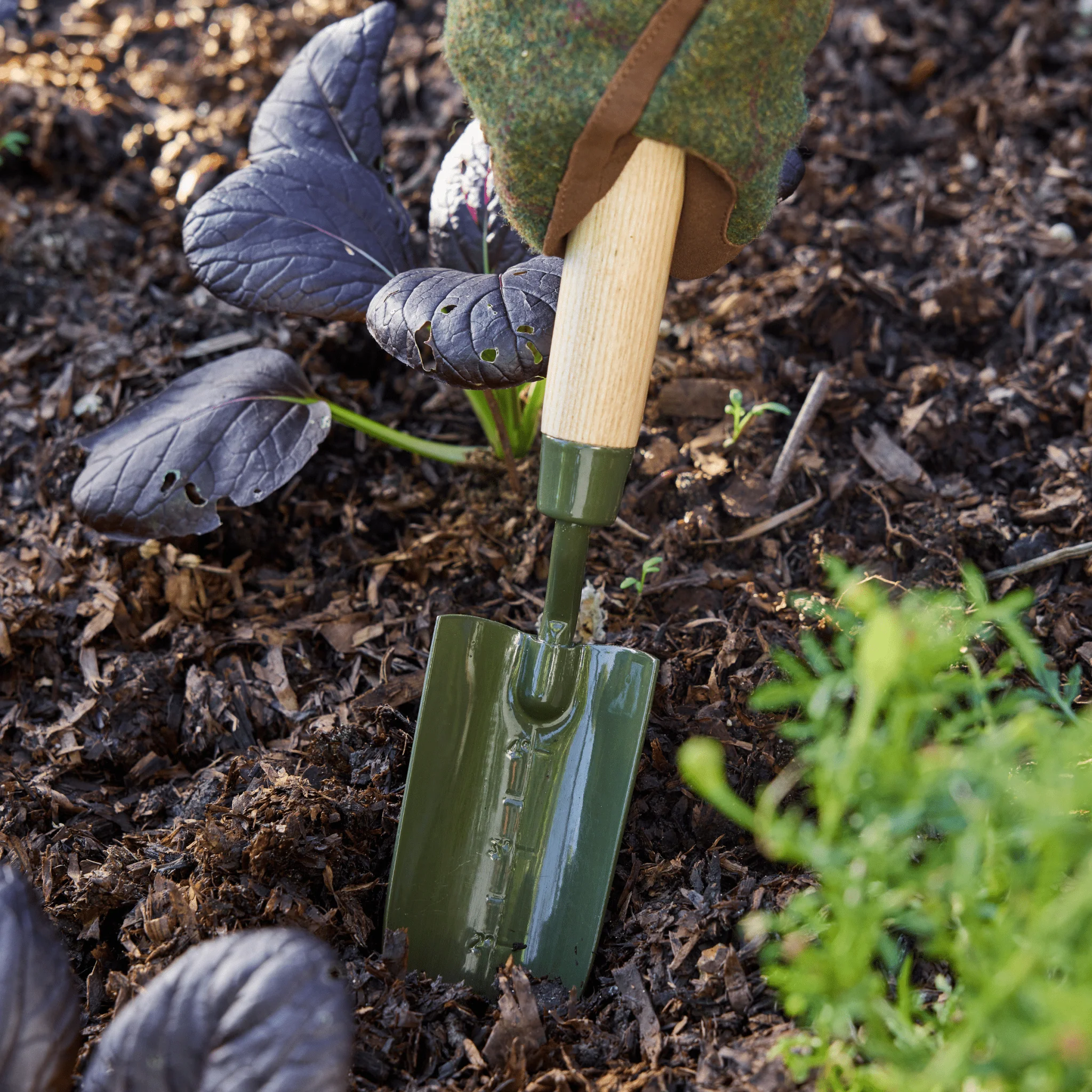 Burgon and Ball RHS BoronGreen Transplanter - Image 8