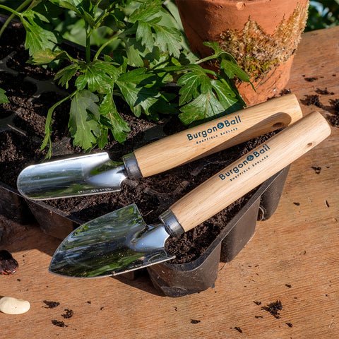 Cell Tray Trowels – Precision Tools for Seed Trays & Plugs | Burgon & Ball - Image 4