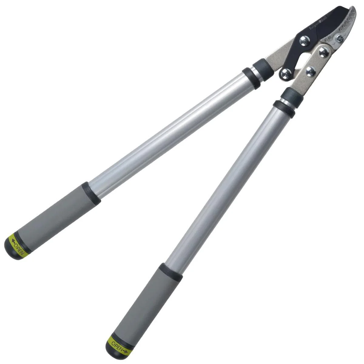 Telescopic Anvil Lopper – Heavy-Duty Loppers for Dead Branches | RHS Approved | Burgon & Ball