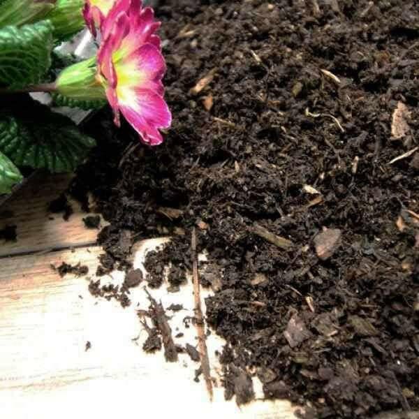 Composted Mulch Bark Fines - Image 8