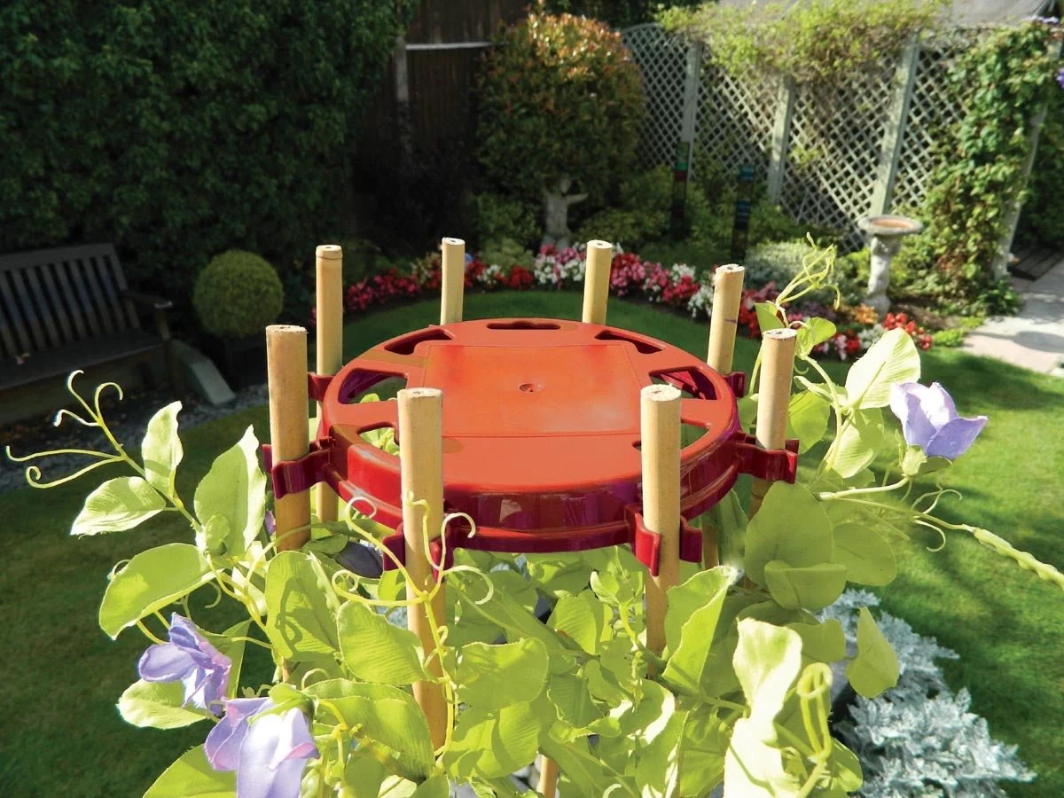 Bean & Pea Support Ring – Durable Metal Frame for Climbing Crops | Garland - Image 4