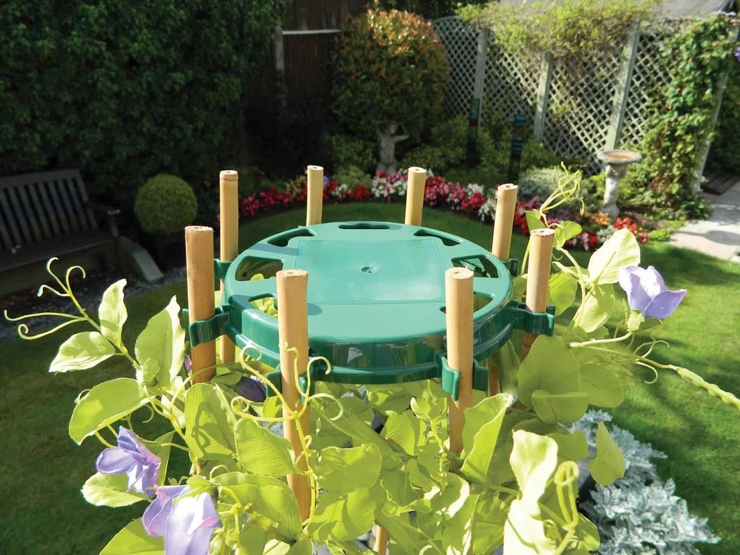 Bean & Pea Support Ring – Durable Metal Frame for Climbing Crops | Garland - Image 8