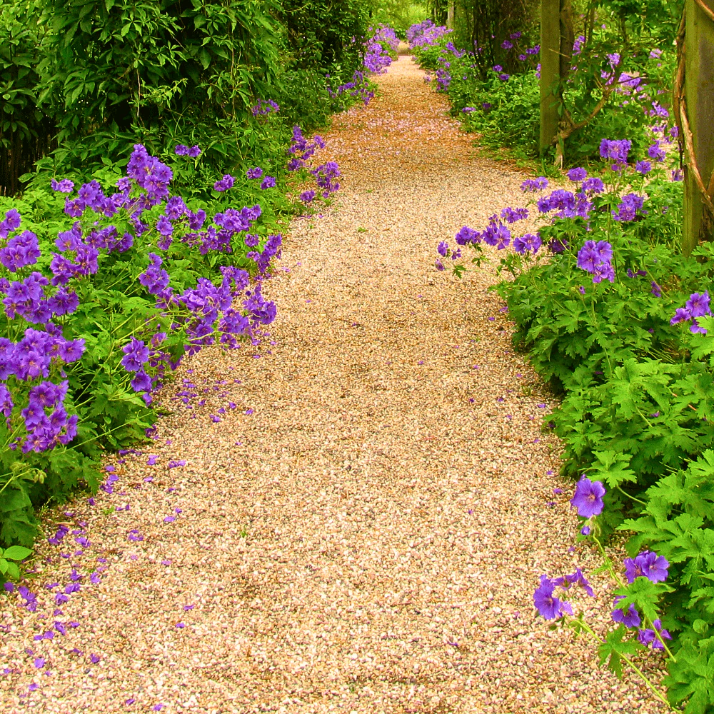 Golden Gravel Chippings - Image 5