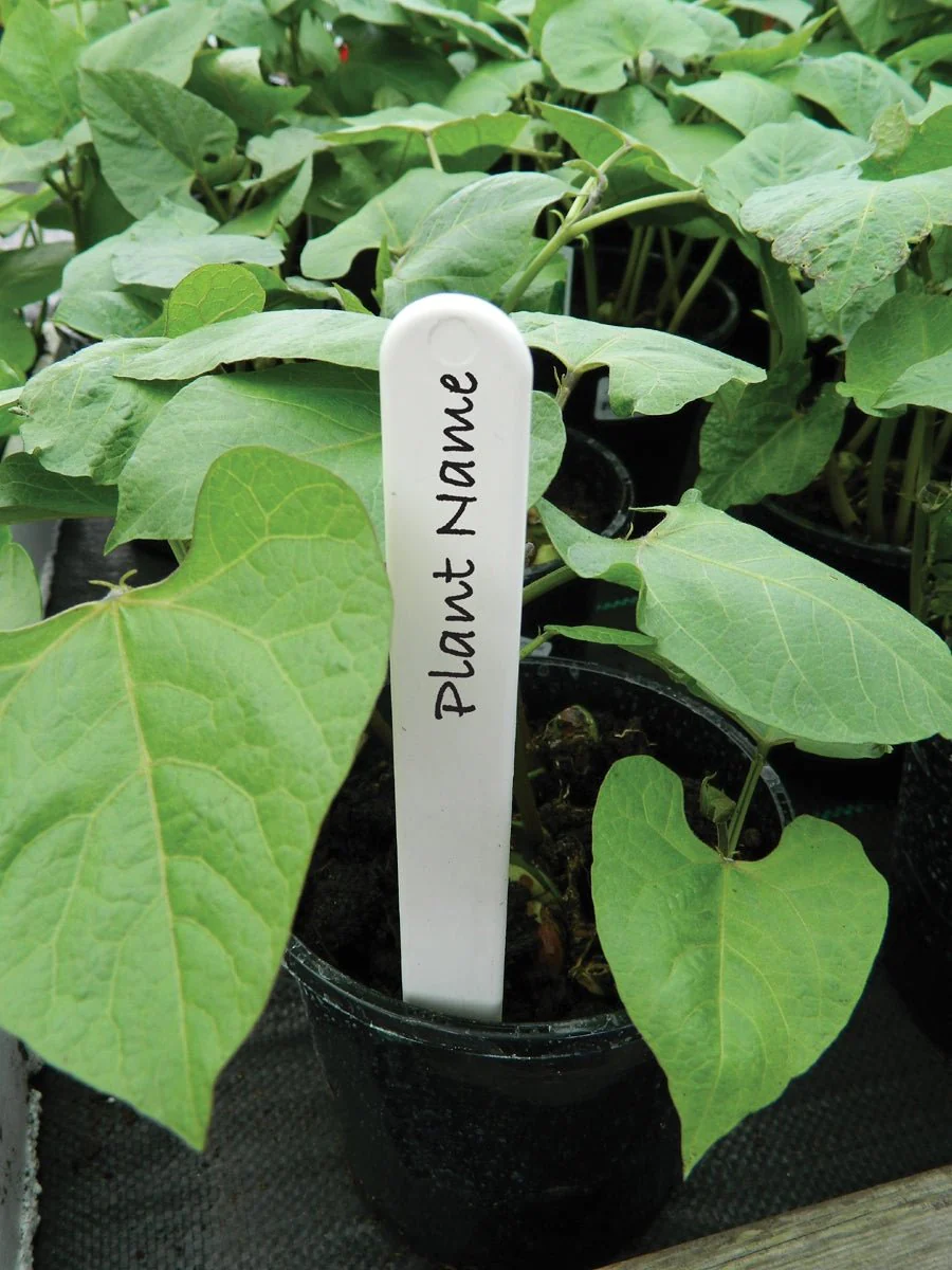 13cm Plant Labels – Reusable Plastic, Wood and Slate Markers  for Pots & Beds | Garland - Image 3