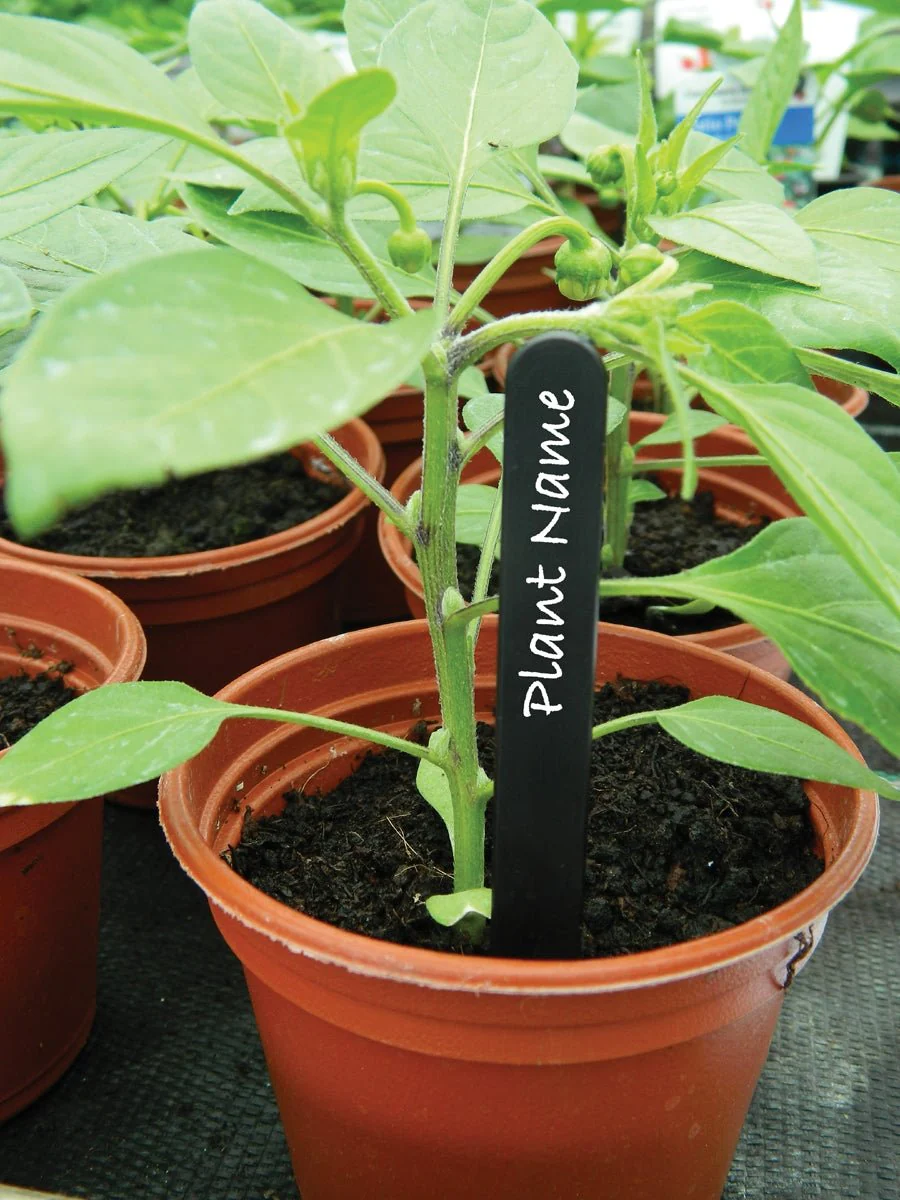 13cm Plant Labels – Reusable Plastic, Wood and Slate Markers  for Pots & Beds | Garland - Image 4