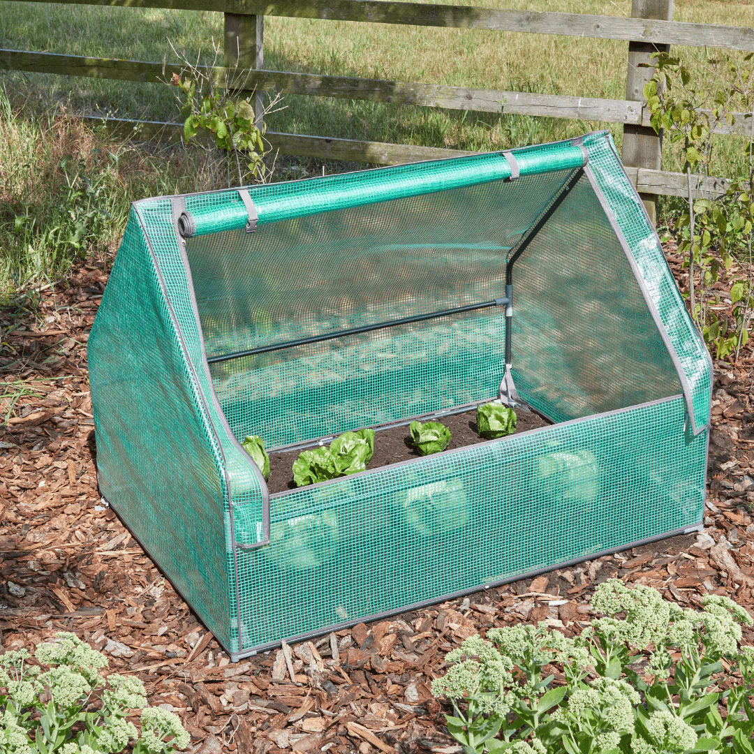 GroCloche Cold Frame, 1.24m x 0.94m x 0.93m