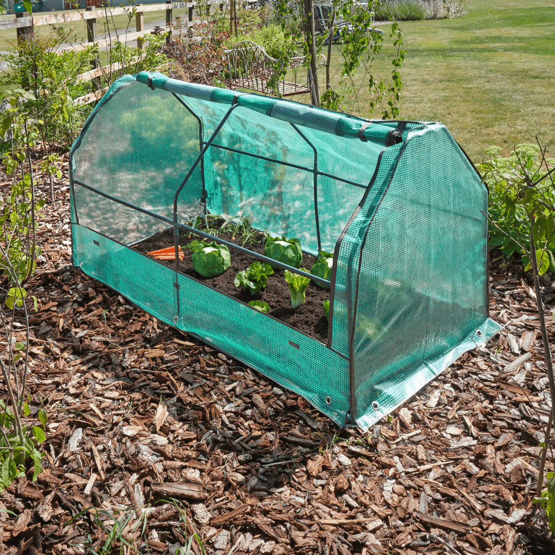 Max GroCloche Cold Frame, 1.8m x 0.92m x 0.90m