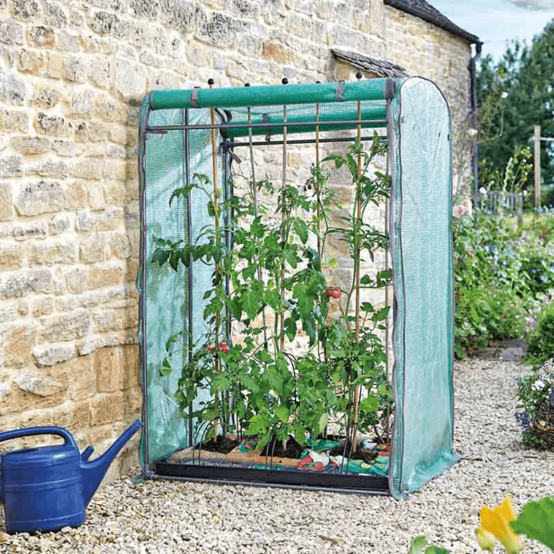 Tomato GroZone Max Growhouse, 1.5m x 1m x 0.8m