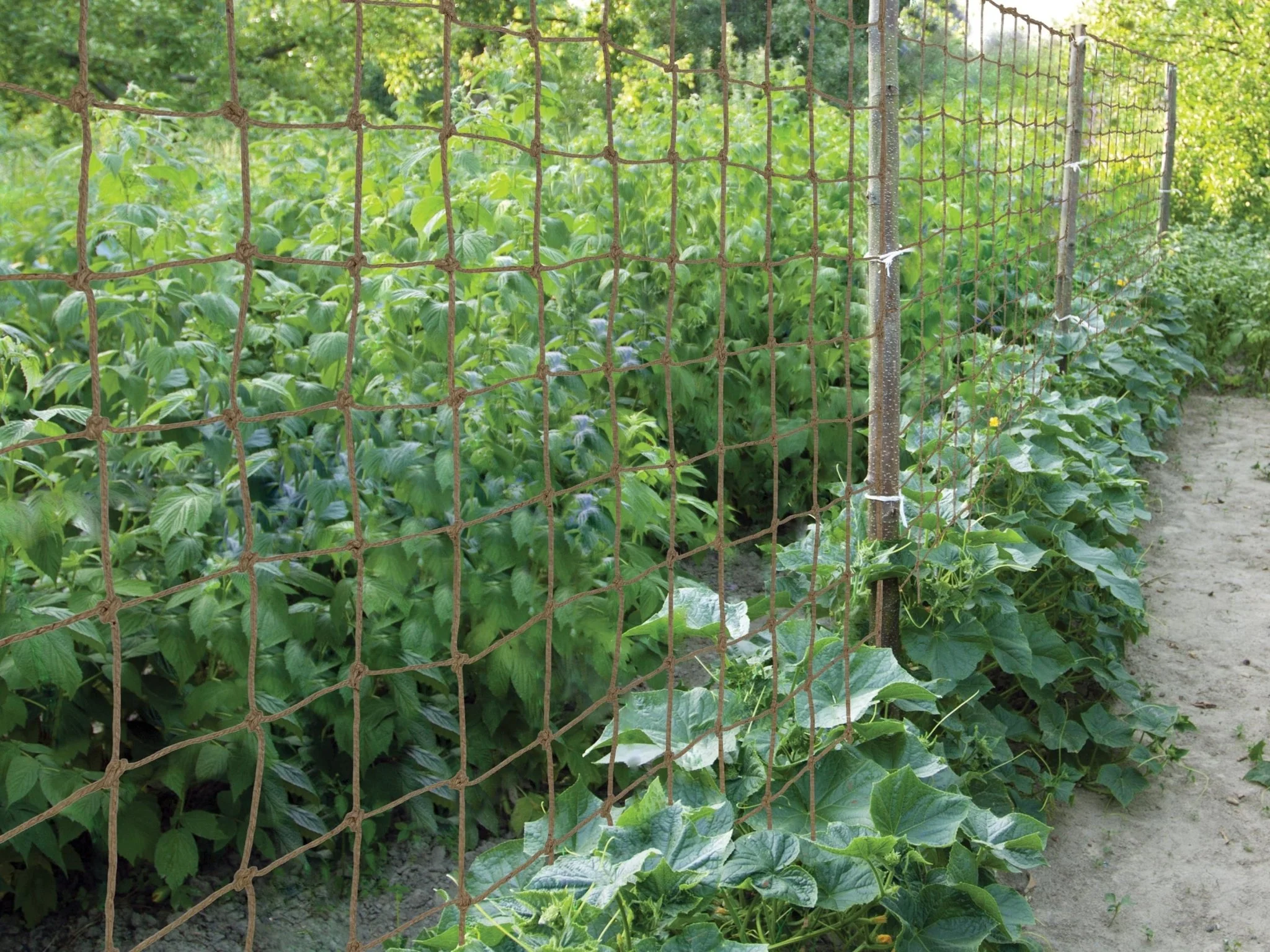 Jute Rope Net 60cm x 180cm, Natural Plant Support Netting for Climbing Plants - Image 5