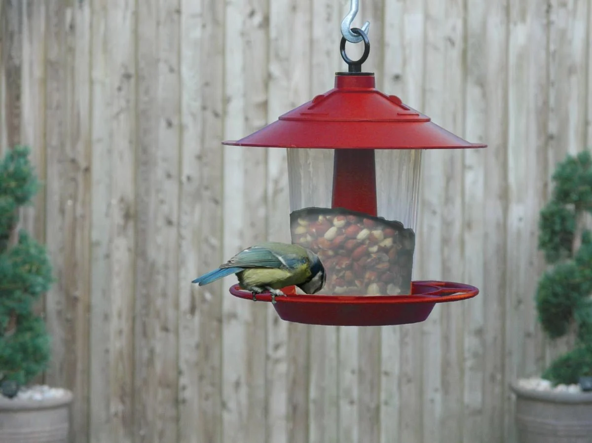 Lantern Bird Seed & Nut Feeder – Hanging Feeder for Wild Birds | Garland