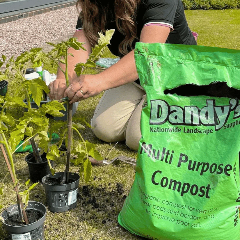 Multi Purpose Welsh Compost - Image 2