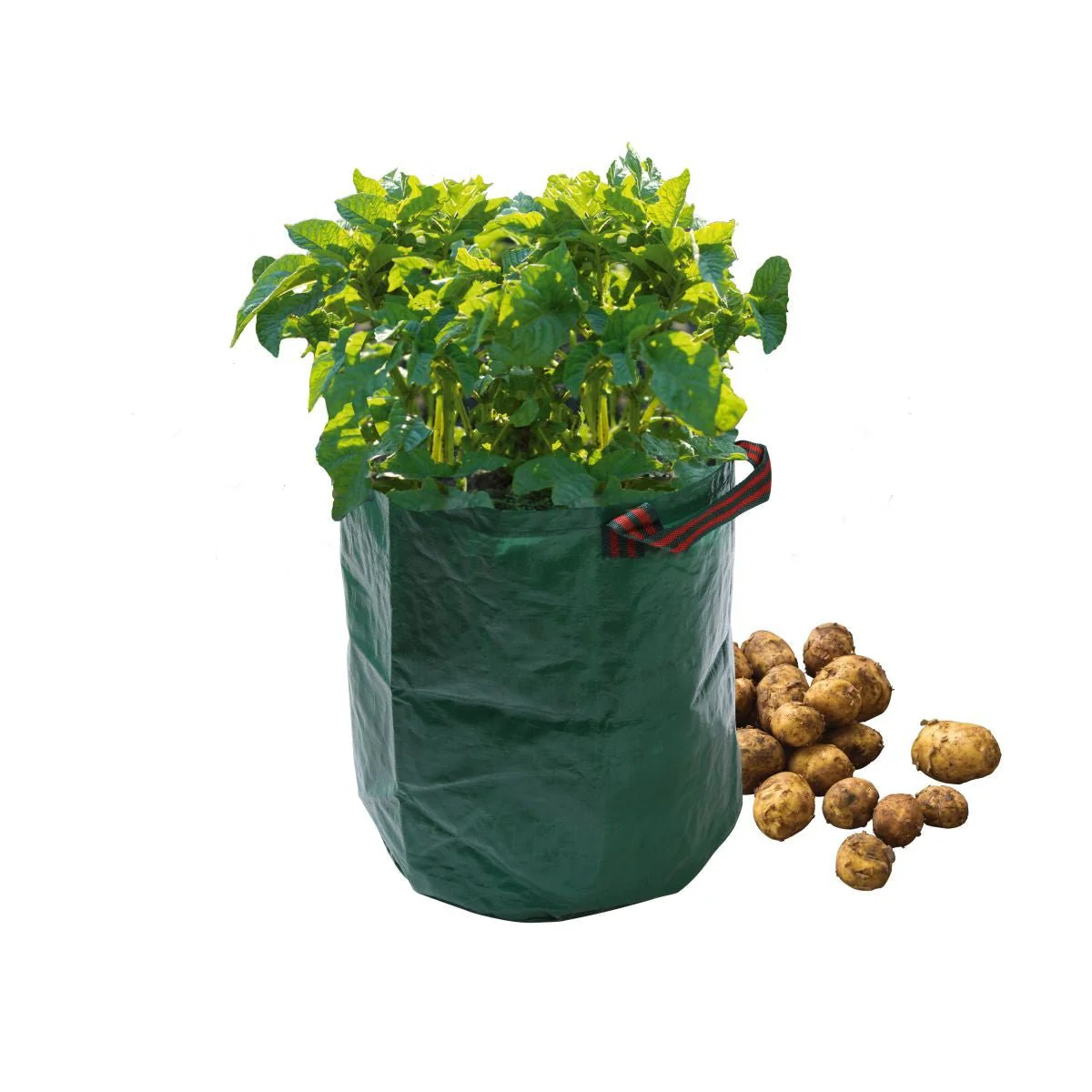 Potato Grow Bag, Reusable Vegetable Growing Sack, Patio and Balcony Growing