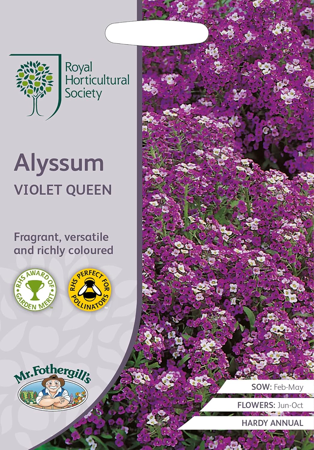 RHS Alyssum Violet Queen Seeds 1500 Seeds, Fragrant Hardy Annual Purple Flower Seeds for Borders and Containers