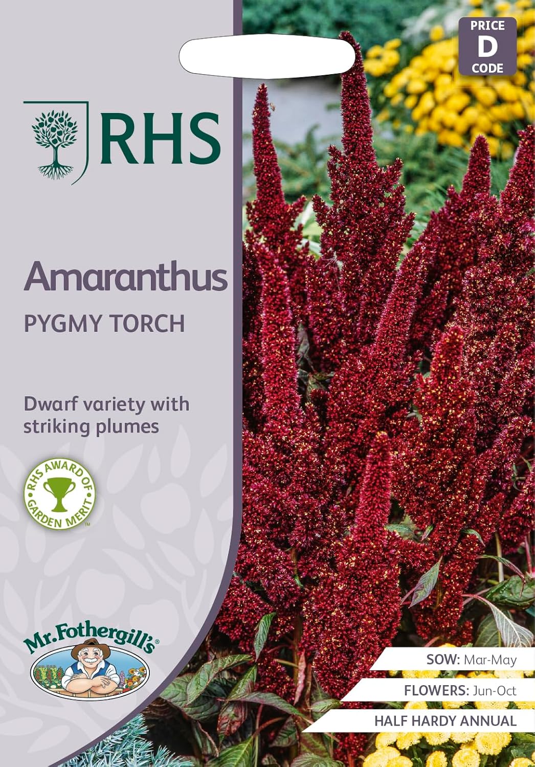 RHS Amaranthus Pygmy Torch Seeds 1000 Seeds, Dwarf Red Plume Half Hardy Annual for Borders and Containers