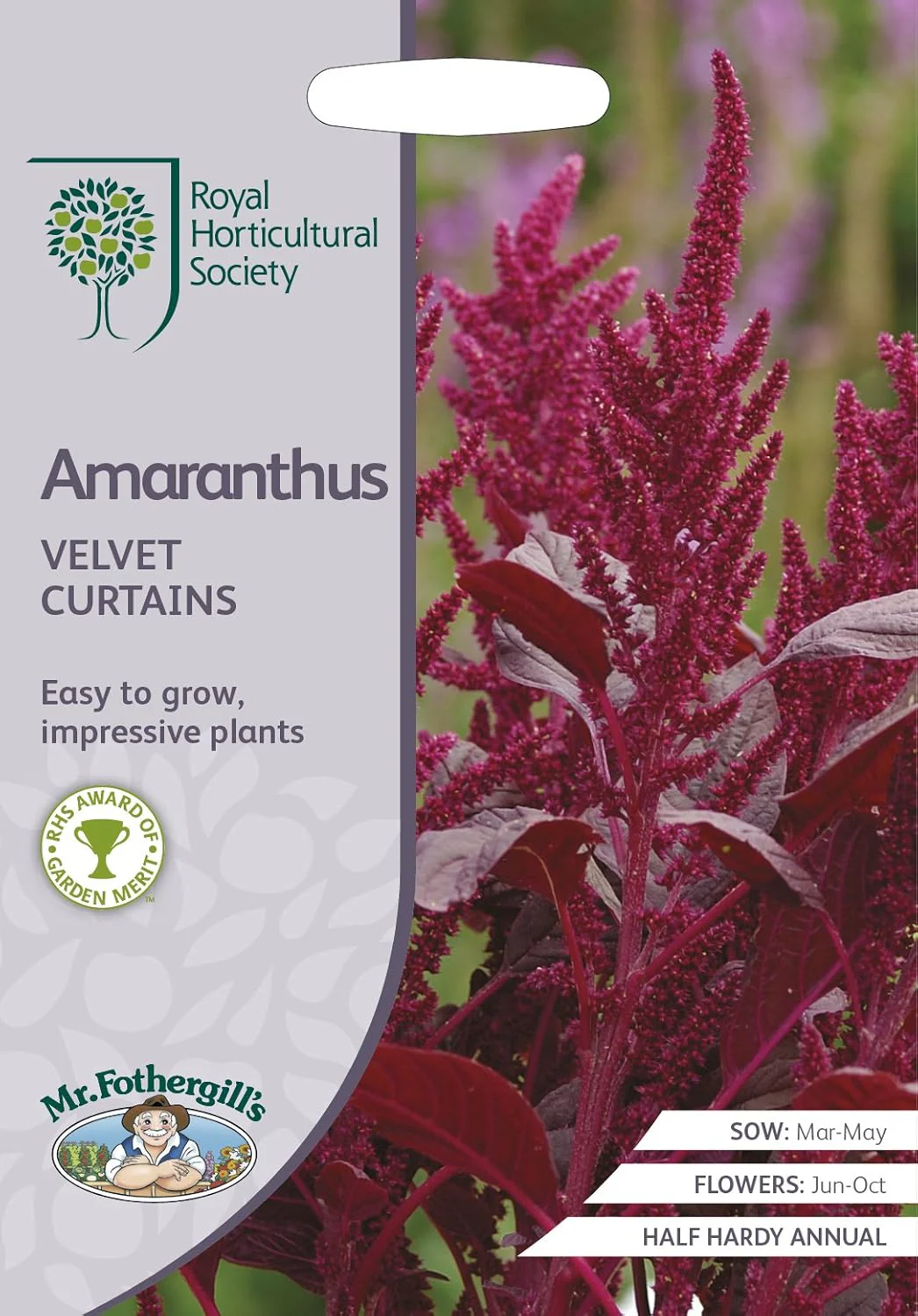 RHS Amaranthus Velvet Curtains Seeds 1500 Seeds, Tall Deep Red Half Hardy Annual for Borders and Cut Flowers