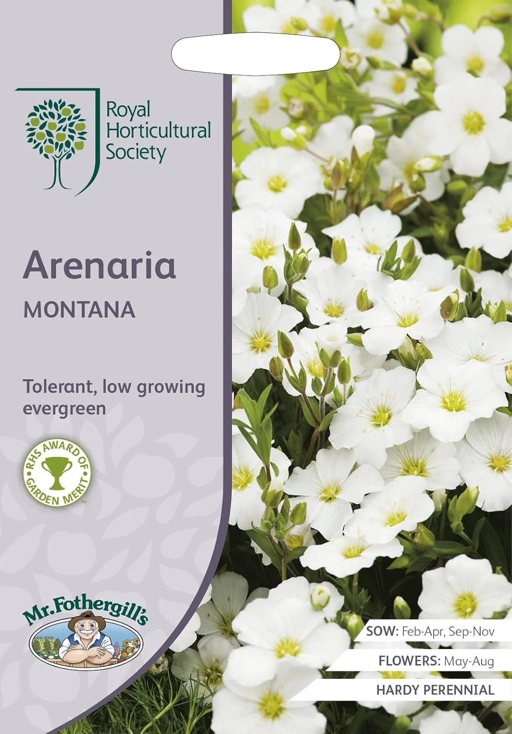 RHS Arenaria montana Seeds 100 Seeds, Hardy Perennial White Carpet Flower for Borders, Rockeries and Edging