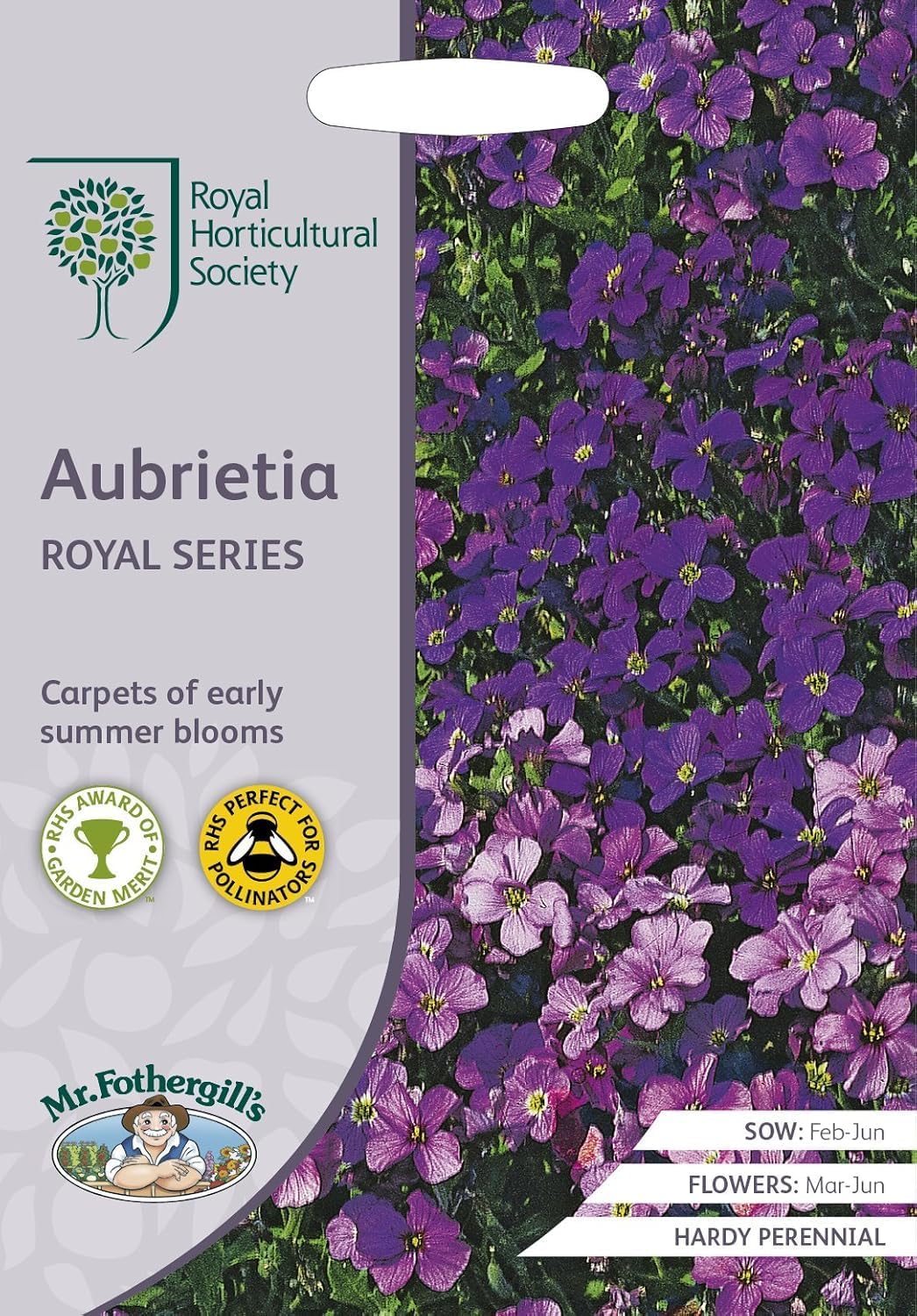 RHS AUBRIETA Royal SeriesRHS Aubrietia Royal Series Seeds 400 Seeds, Hardy Perennial Ground Cover, Pollinator Friendly Spring Flowers