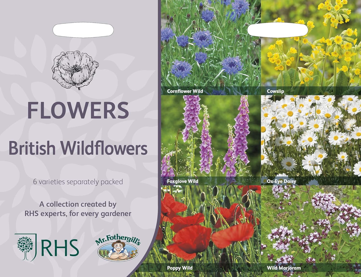 RHS British Wildflowers Seed Collection 6 Native Varieties - Image 2