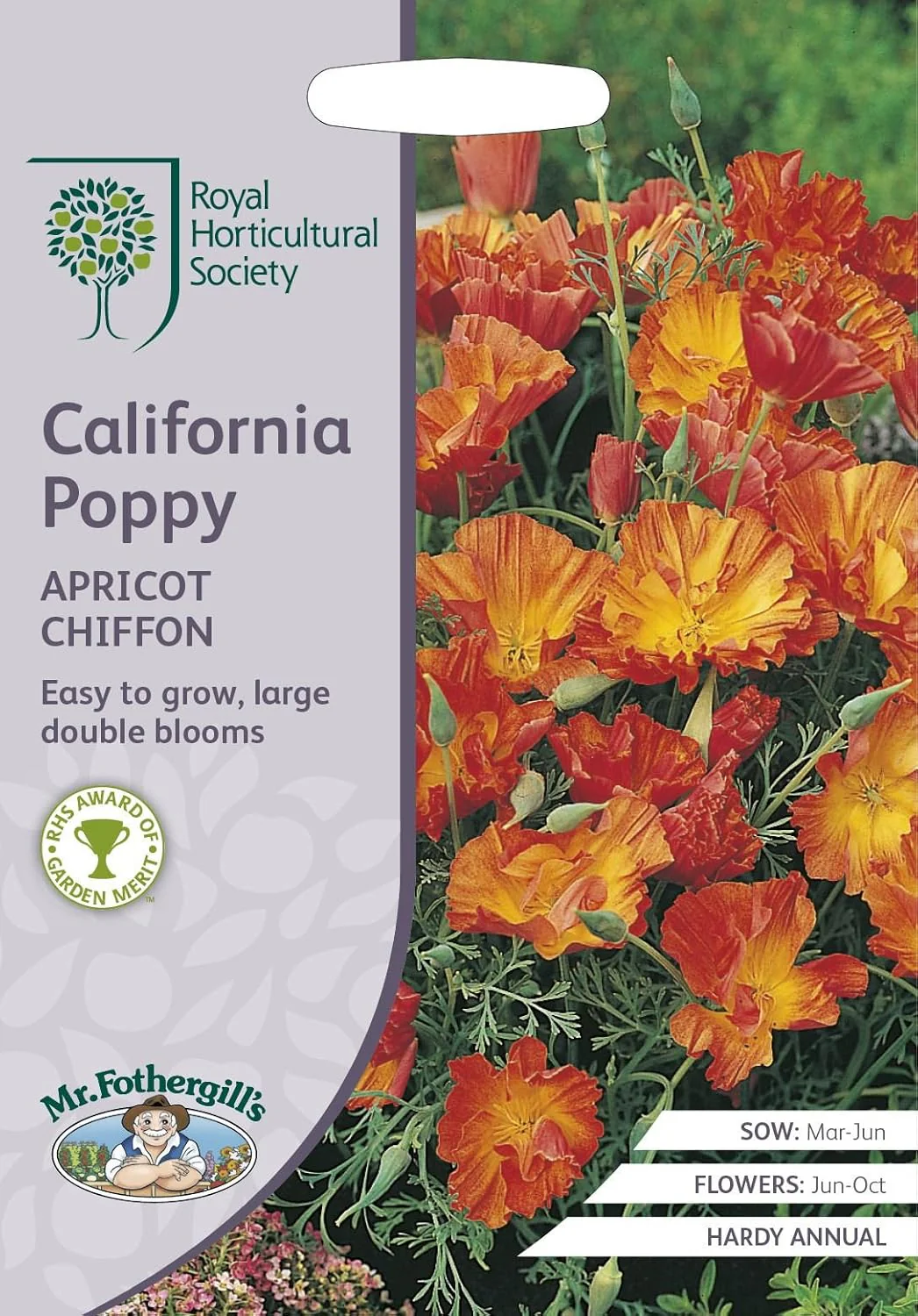 RHS California Poppy Apricot Chiffon Seeds 300 Seeds, Hardy Annual Apricot Orange Blooms for Borders and Pots