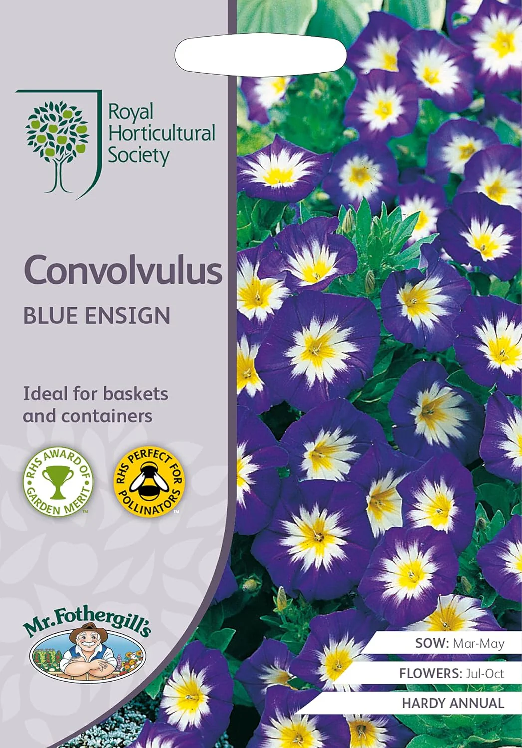 RHS Convolvulus Blue Ensign Seeds 100 Seeds, Hardy Annual Tri Colour Flower for Baskets and Containers