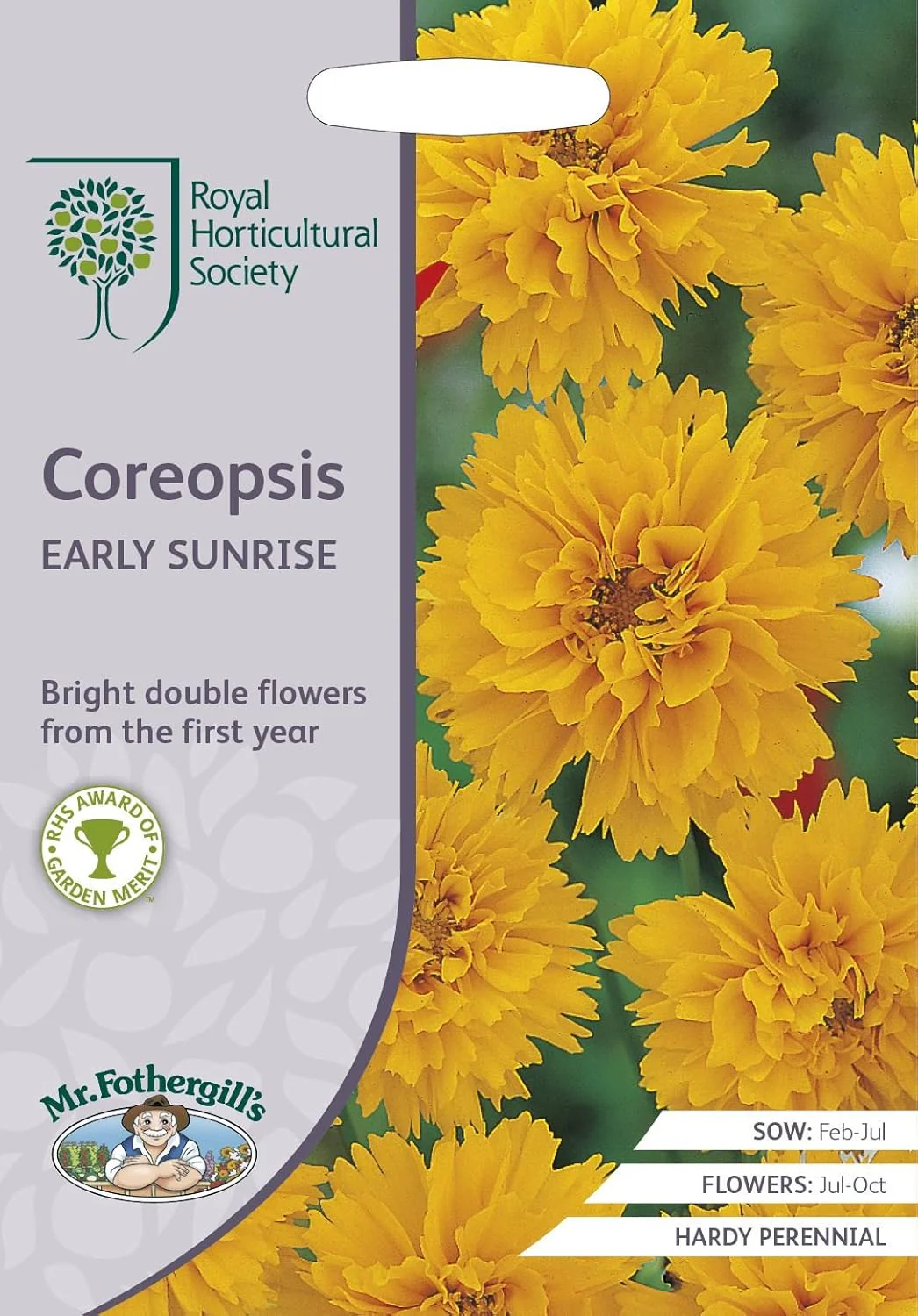 RHS Coreopsis Early Sunrise Seeds 200 Seeds, Hardy Perennial Yellow Double Flower