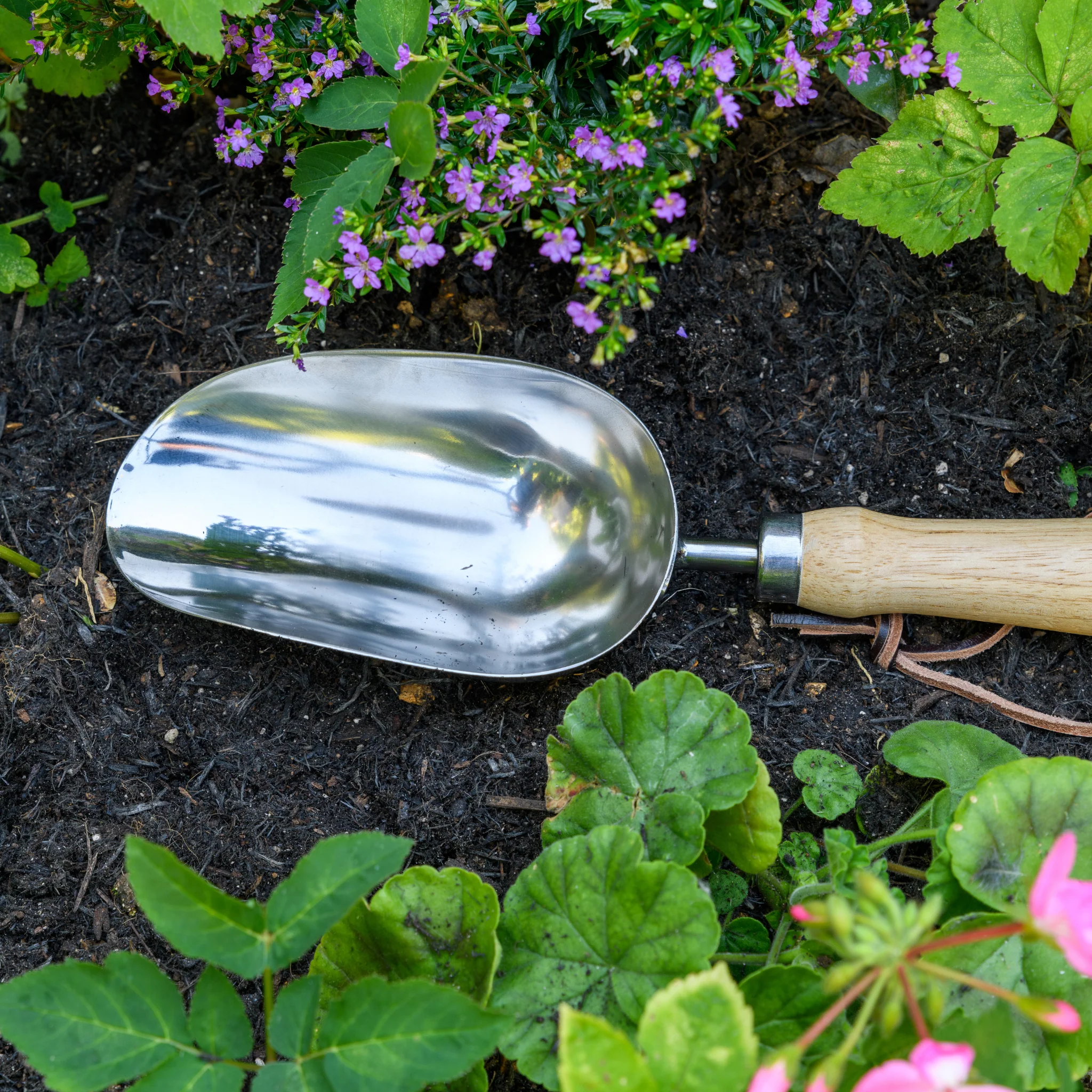 RHS Endorsed Stainless Steel Compost Scoop by Burgon & Ball - Image 9
