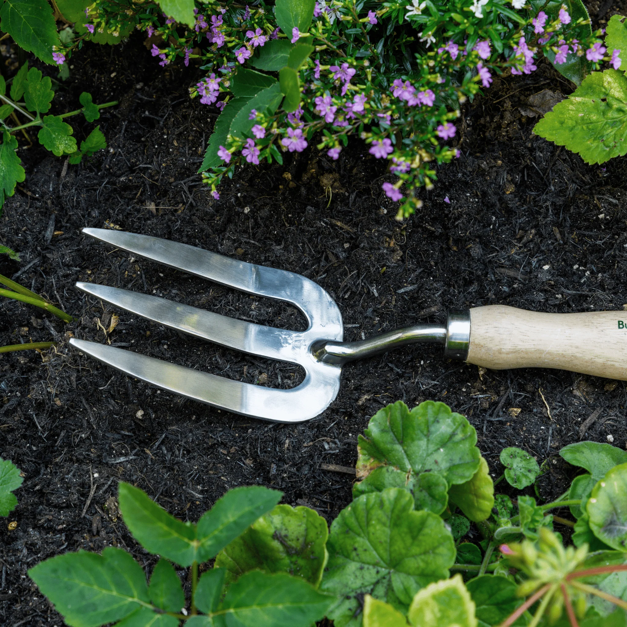 RHS Endorsed Stainless Steel Hand Fork by Burgon & Ball - Image 6
