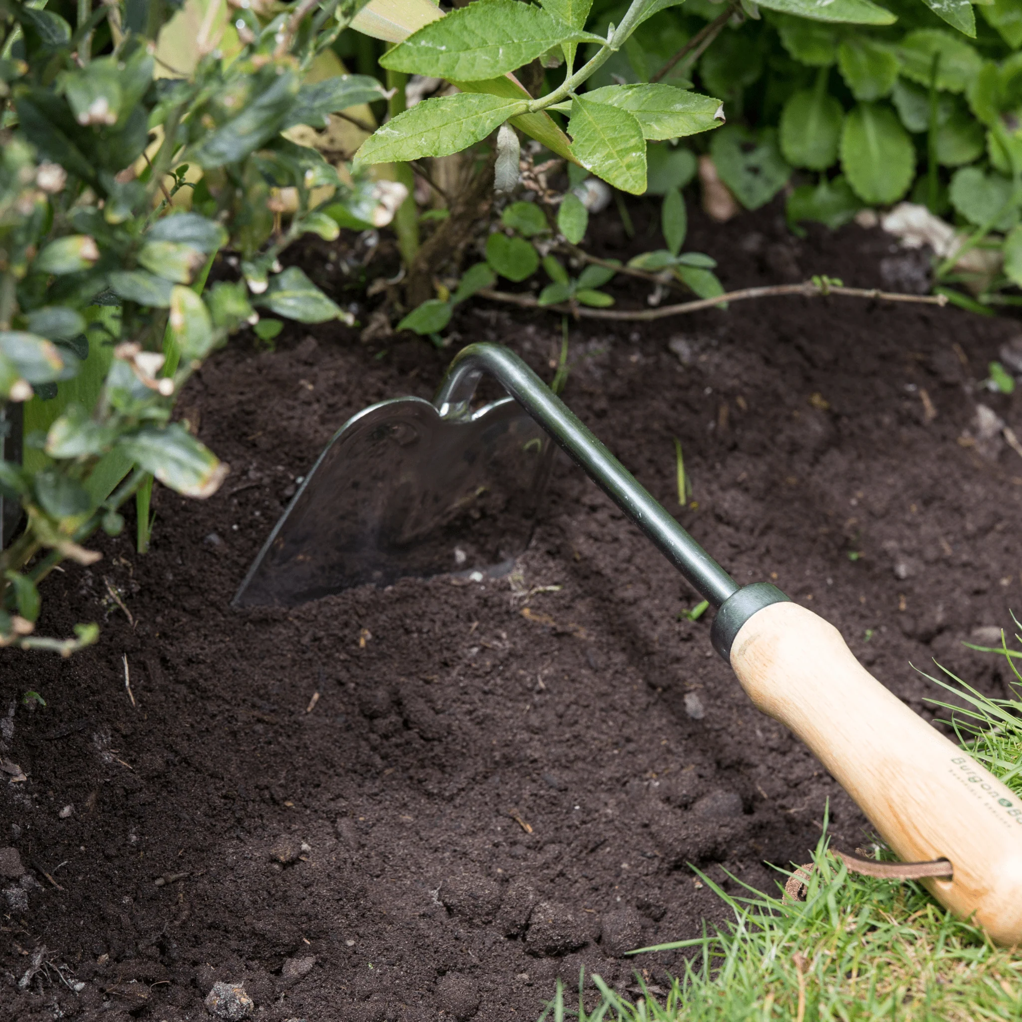 RHS Endorsed Stainless Steel Hand Hoe by Burgon & Ball - Image 9