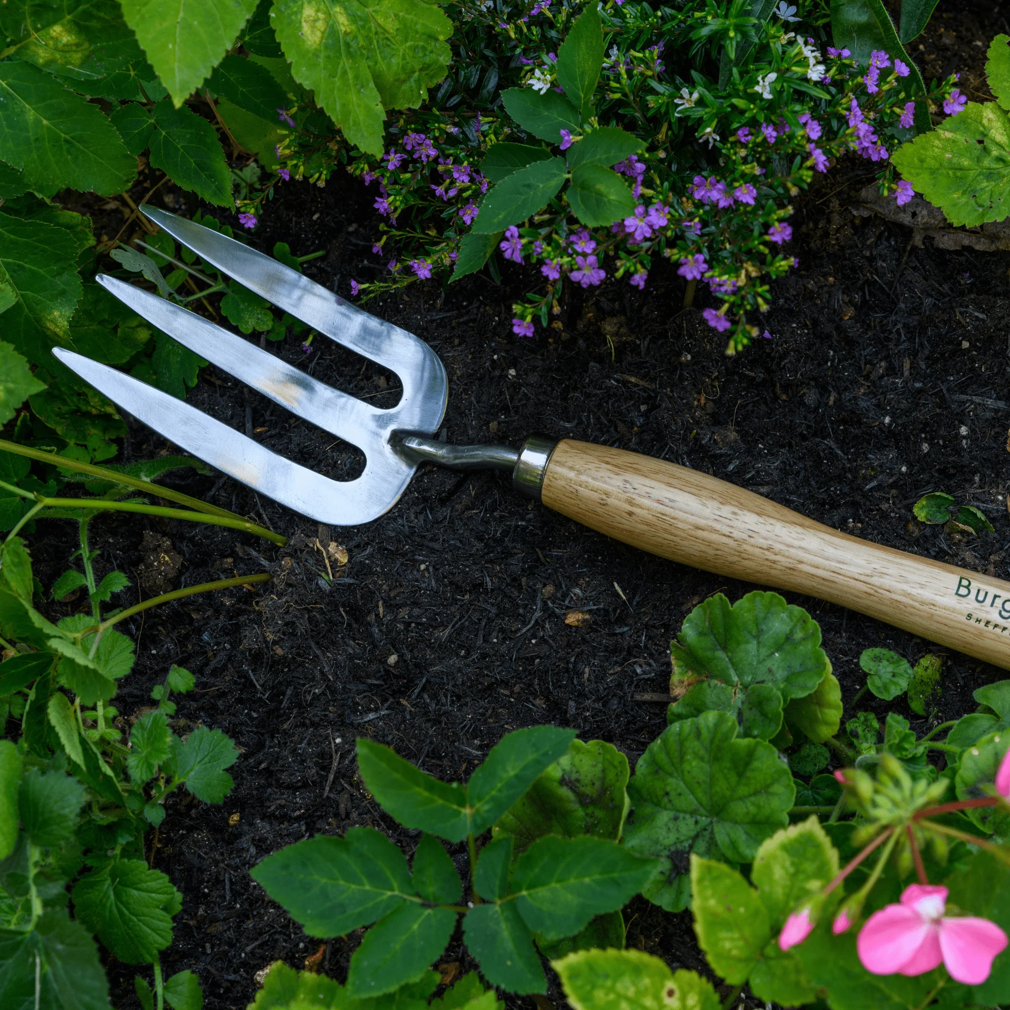 RHS Endorsed Stainless Steel Mid Handled Fork by Burgon & Ball - Image 10