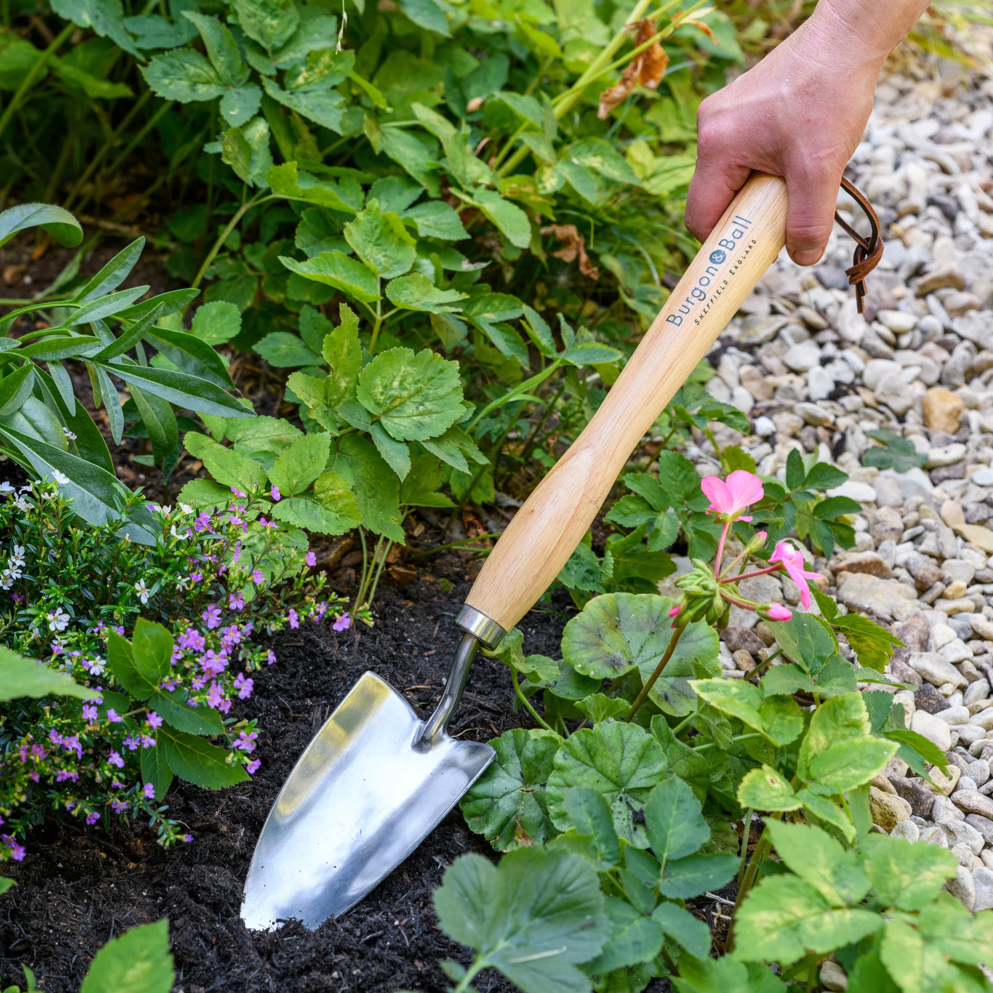 RHS Endorsed Stainless Steel Mid Handled Trowel by Burgon & Ball - Image 10