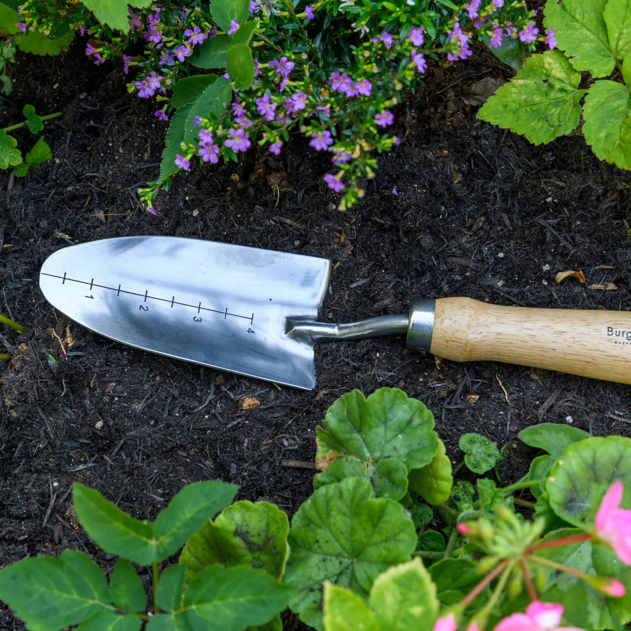 RHS Endorsed Stainless Steel Transplanter by Burgon & Ball - Image 7