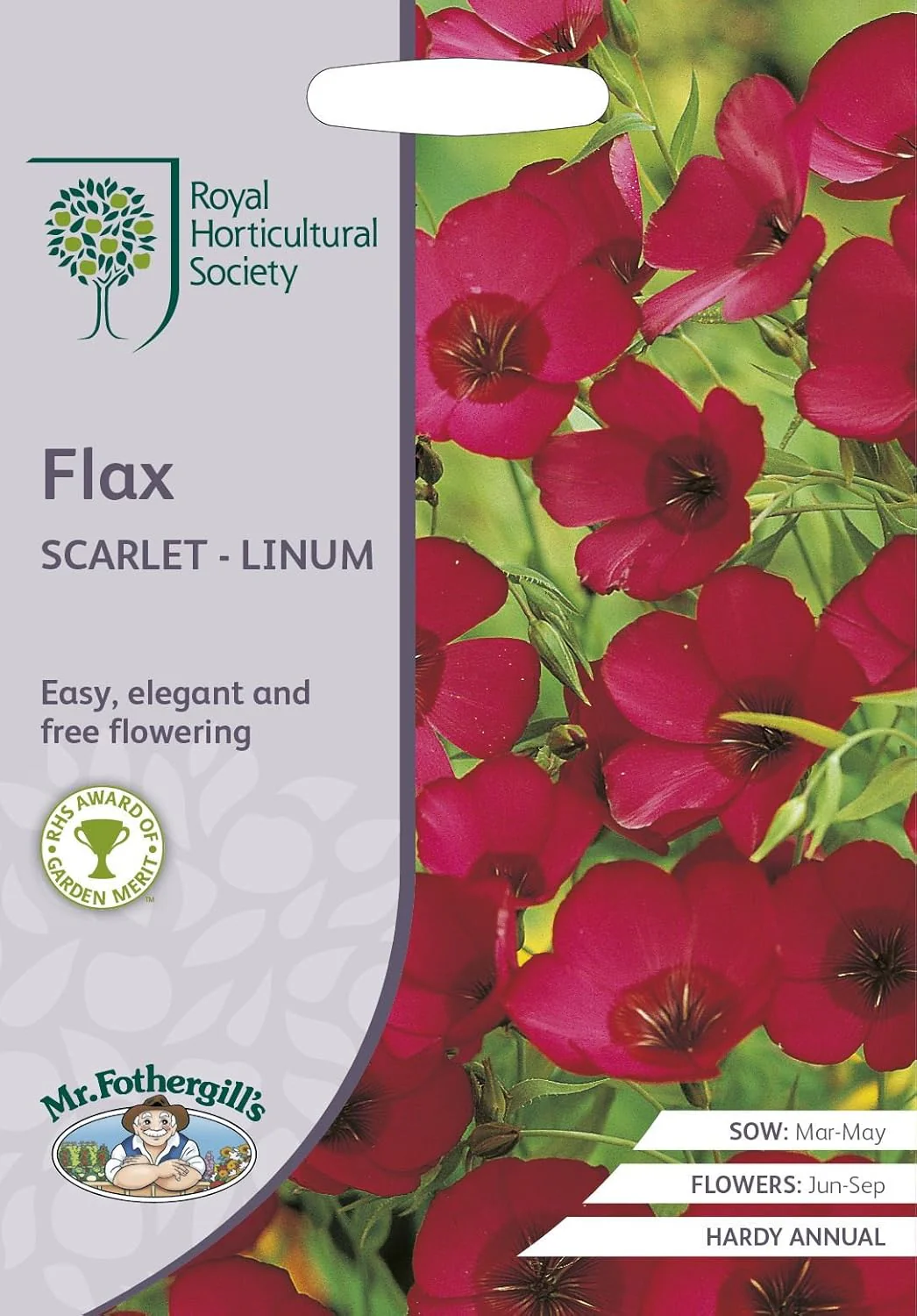 RHS Flax Scarlet Linum Seeds 500 Seeds, Hardy Annual Red Flower