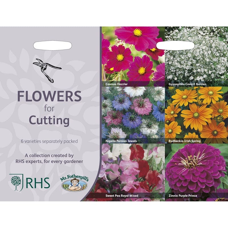 RHS Flowers for Cutting Seed Collection 6 Cut Flower Varieties - Image 4