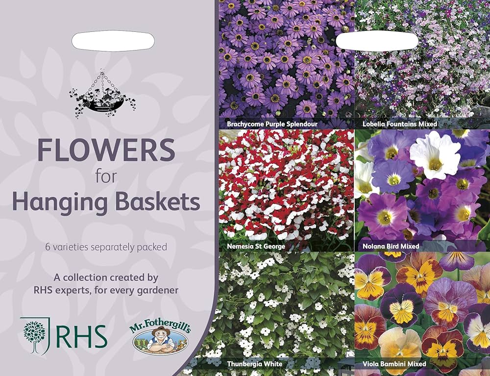 RHS Flowers for Hanging Baskets Seed Collection 6 Trailing Varieties - Image 4