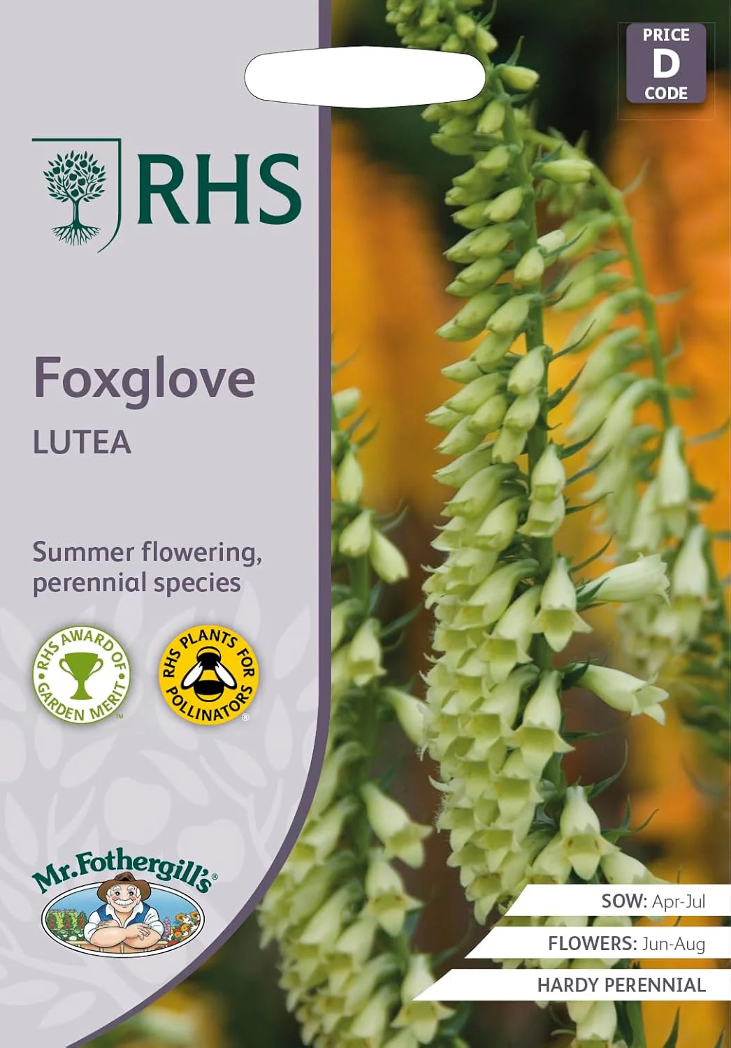 RHS Foxglove Lutea Seeds 1000 Seeds, Hardy Perennial Yellow Digitalis